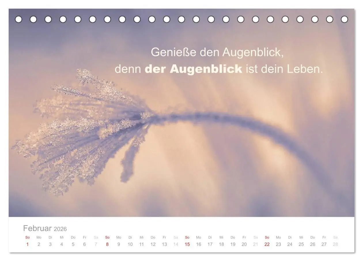 Bild: 9783457957226 | Zauberhafte Sprüche - Bunte Seelenblüten (Tischkalender 2026 DIN A5...