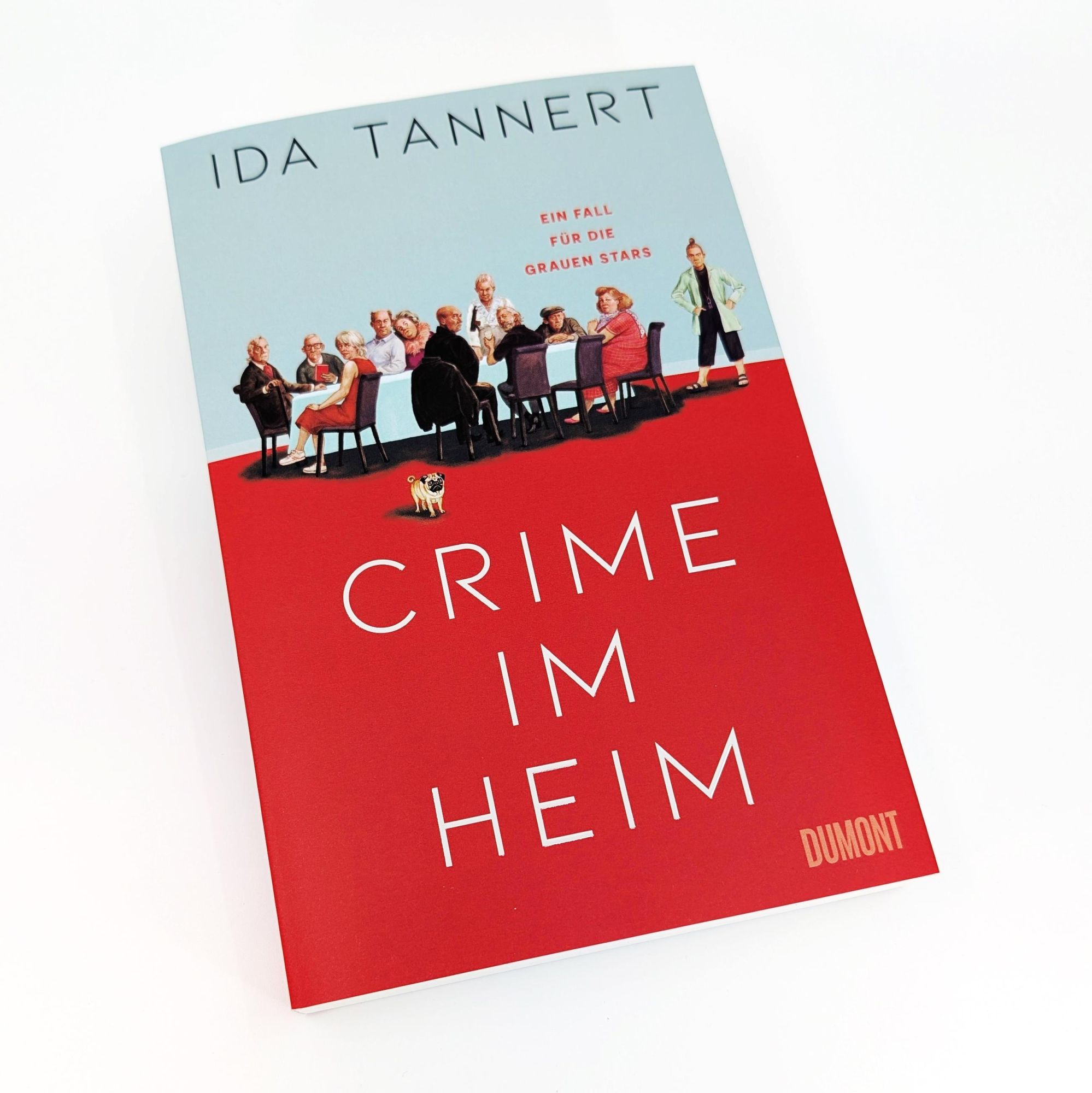 Bild: 9783832167226 | Crime im Heim | Ein Fall für die Grauen Stars | Ida Tannert | Buch