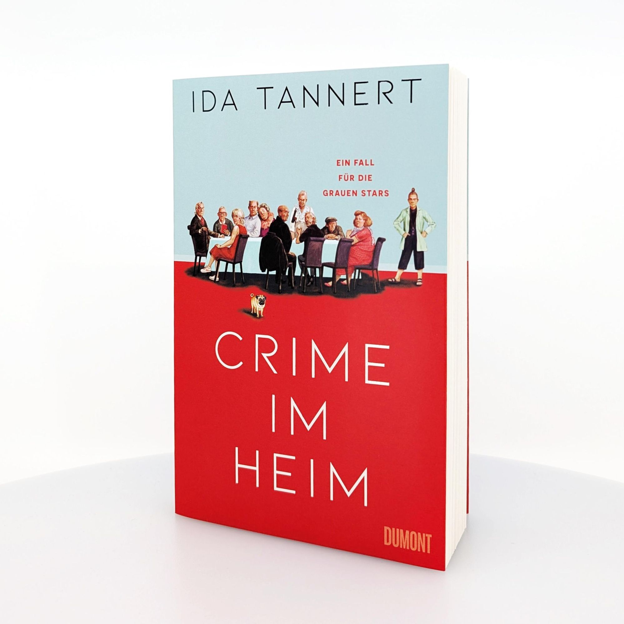 Bild: 9783832167226 | Crime im Heim | Ein Fall für die Grauen Stars | Ida Tannert | Buch
