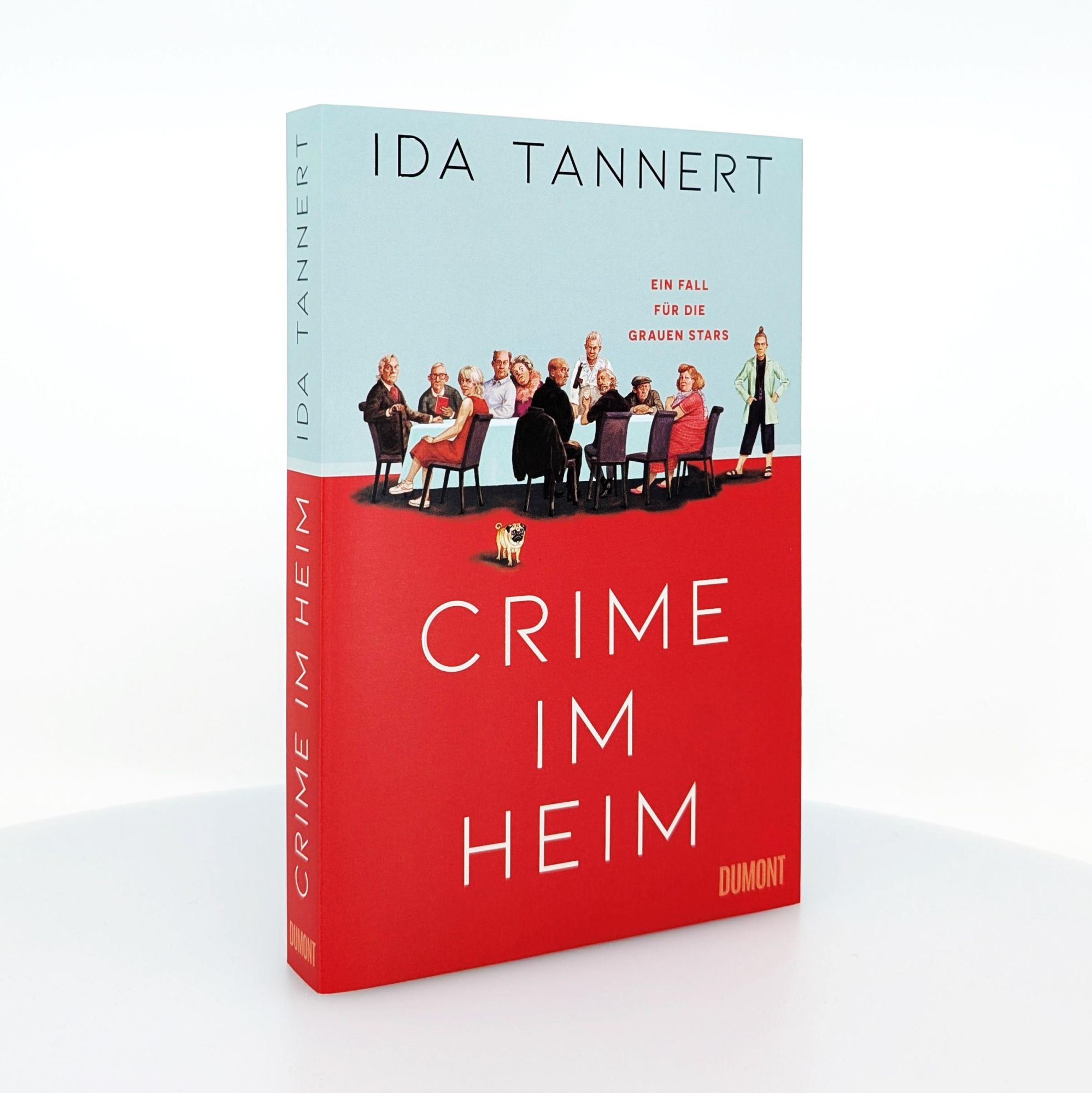 Bild: 9783832167226 | Crime im Heim | Ein Fall für die Grauen Stars | Ida Tannert | Buch