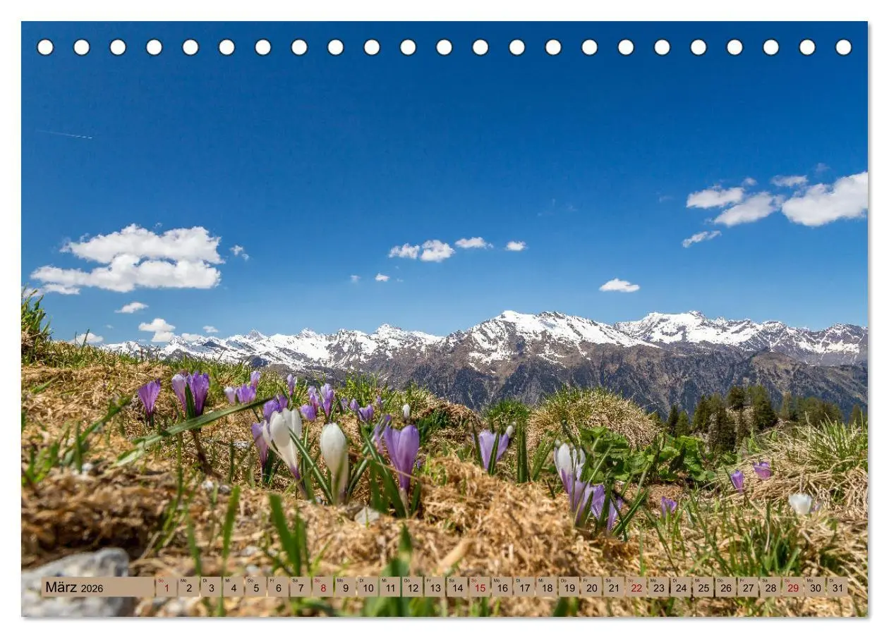 Bild: 9783457497326 | Südtirol - Meraner Land (Tischkalender 2026 DIN A5 quer), CALVENDO...