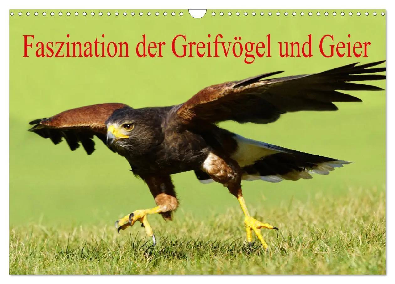 Cover: 9783457877326 | Faszination der Greifvögel und Geier (Wandkalender 2026 DIN A3...