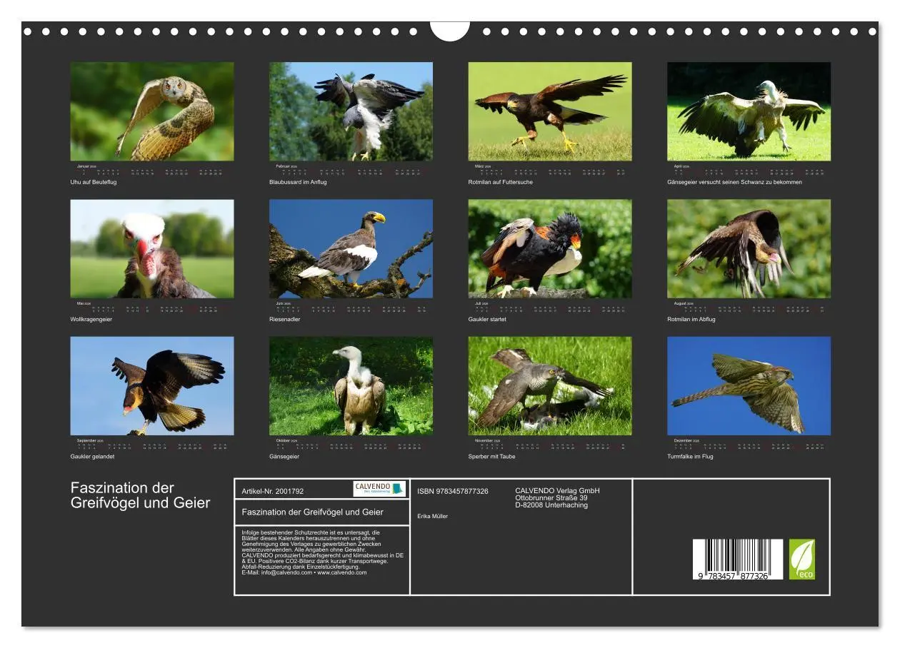 Bild: 9783457877326 | Faszination der Greifvögel und Geier (Wandkalender 2026 DIN A3...