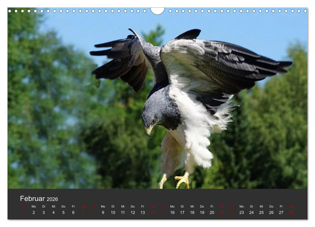 Bild: 9783457877326 | Faszination der Greifvögel und Geier (Wandkalender 2026 DIN A3...