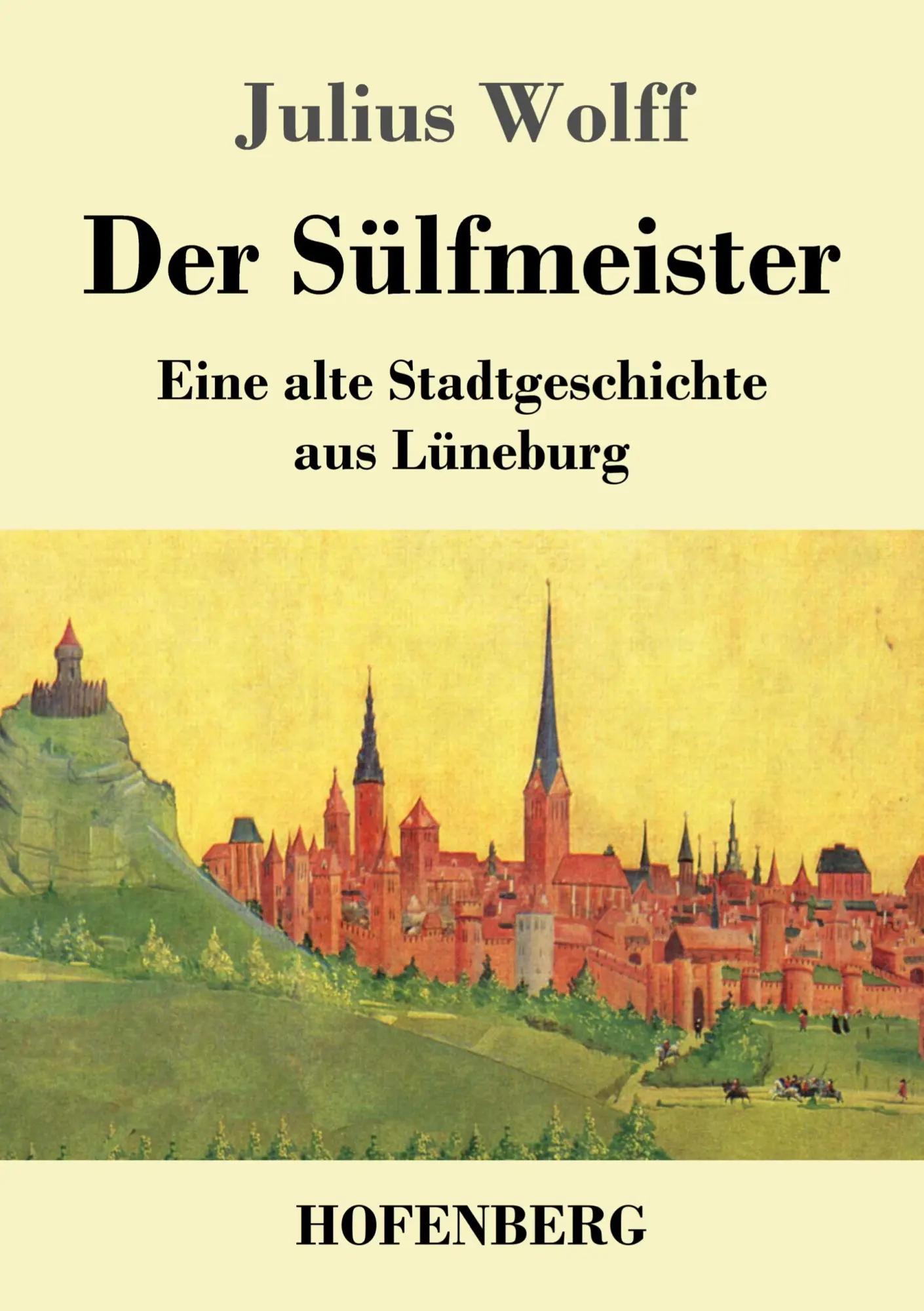 Cover: 9783743747326 | Der Sülfmeister | Eine alte Stadtgeschichte aus Lüneburg | Wolff