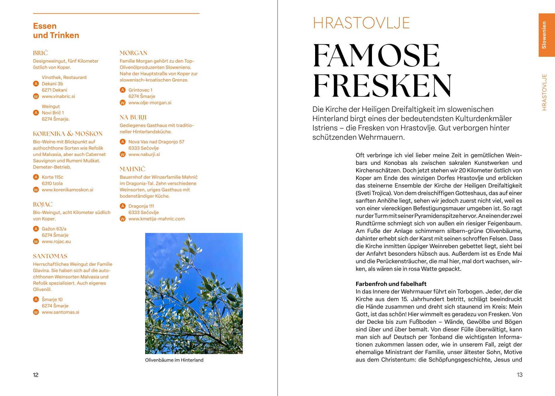 Bild: 9783222137426 | Echt Istrien | Silvia Trippolt-Maderbacher | Taschenbuch | 176 S.