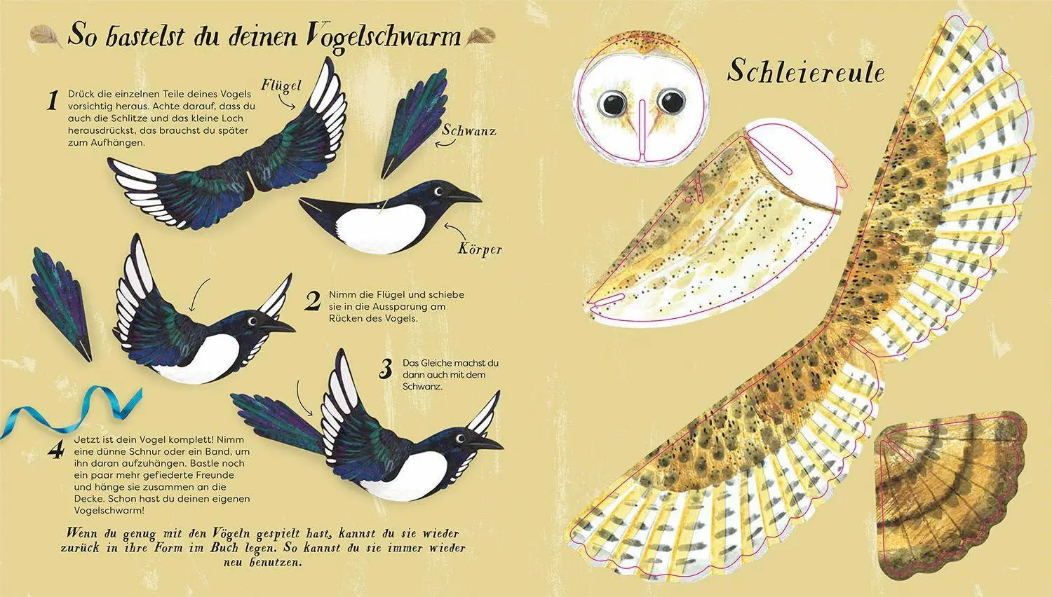 Bild: 9783440177426 | Flieg mit uns! | 10 Vögel bestimmen, basteln und aufhängen | Buch