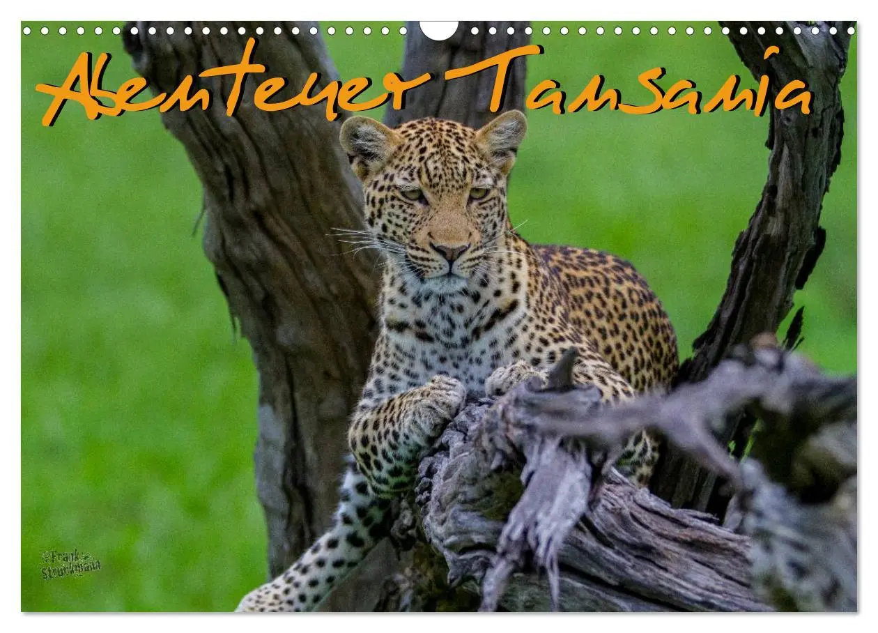 Cover: 9783516197426 | Abenteuer Tansania, Afrika (Wandkalender 2026 DIN A3 quer),...