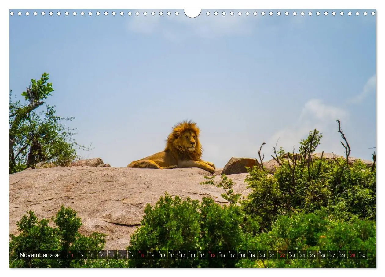 Bild: 9783516197426 | Abenteuer Tansania, Afrika (Wandkalender 2026 DIN A3 quer),...