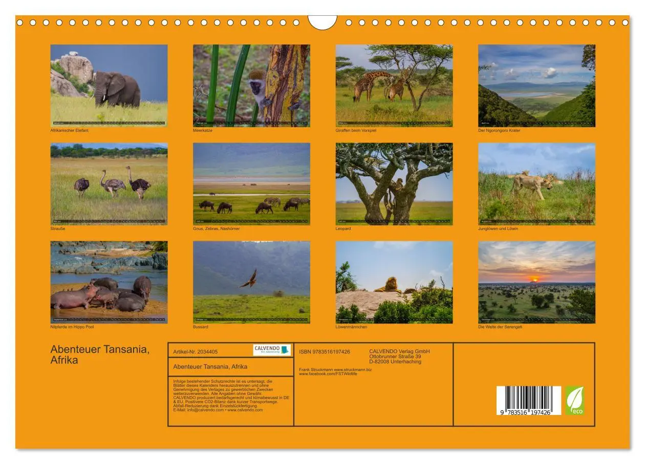 Bild: 9783516197426 | Abenteuer Tansania, Afrika (Wandkalender 2026 DIN A3 quer),...