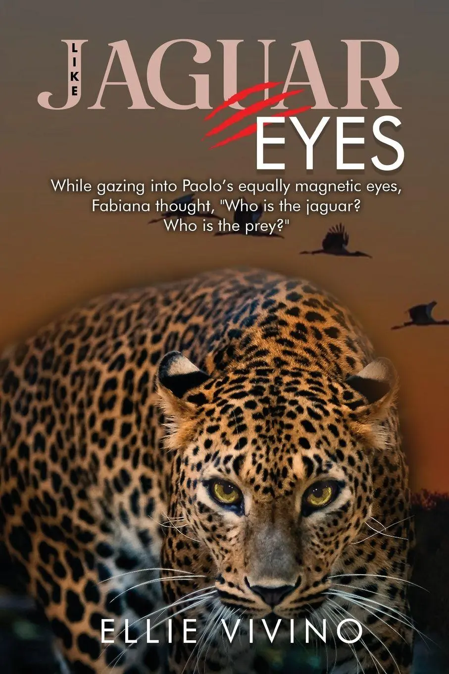 Cover: 9781963017526 | Like Jaguar Eyes | Ellie Vivino | Taschenbuch | Englisch | 2023