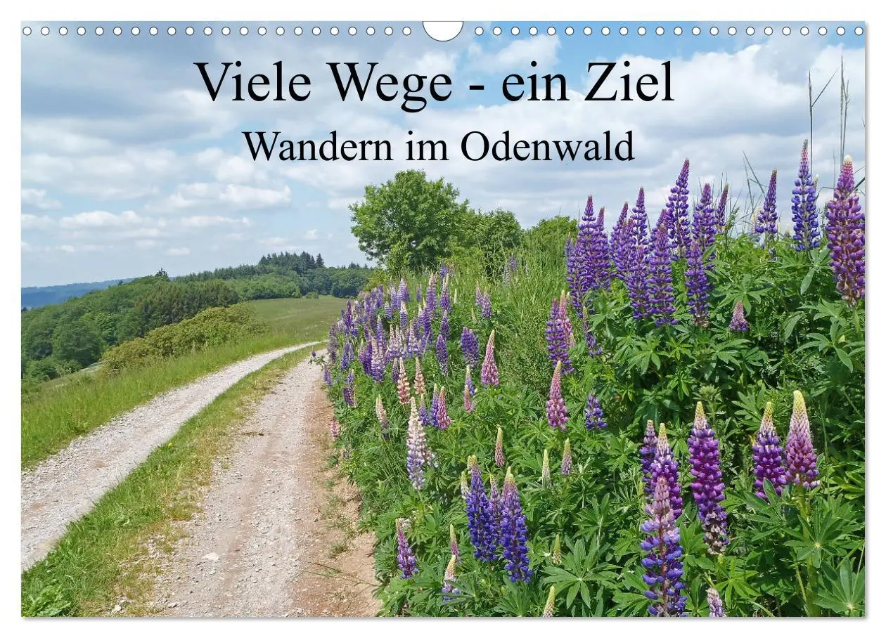 Cover: 9783457787526 | Viele Wege - ein Ziel Wandern im Odenwald (Wandkalender 2026 DIN A3...