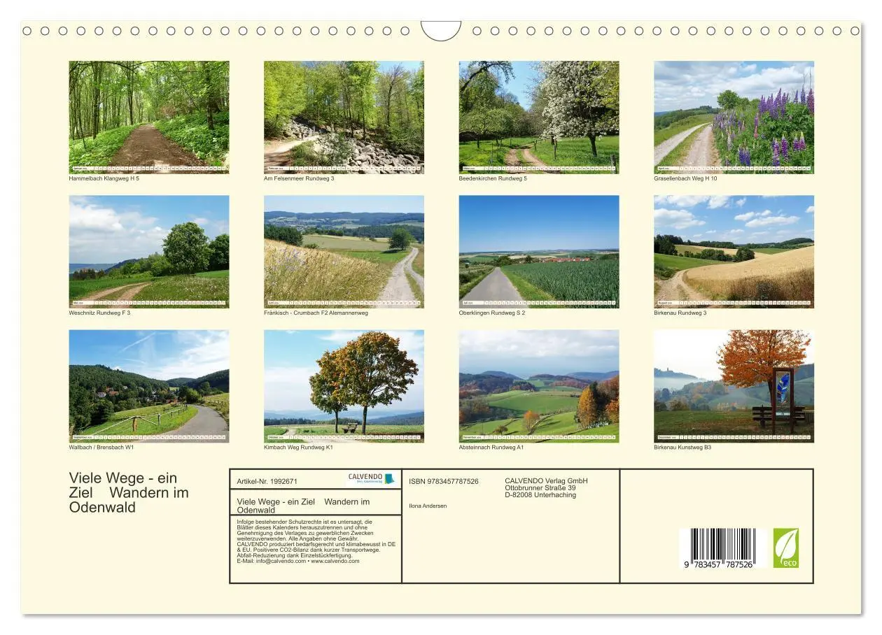 Bild: 9783457787526 | Viele Wege - ein Ziel Wandern im Odenwald (Wandkalender 2026 DIN A3...