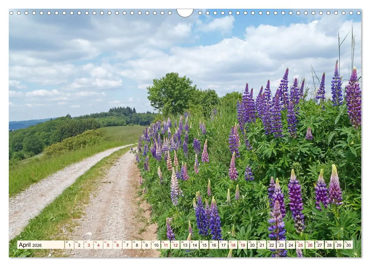 Bild: 9783457787526 | Viele Wege - ein Ziel Wandern im Odenwald (Wandkalender 2026 DIN A3...