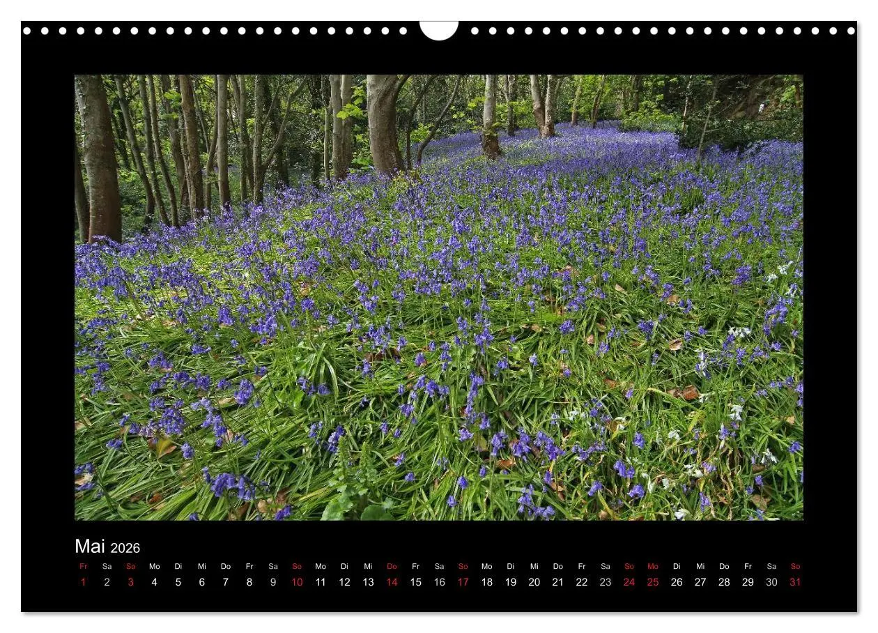 Bild: 9783516187526 | Kanalinseln 2026 (Wandkalender 2026 DIN A3 quer), CALVENDO...