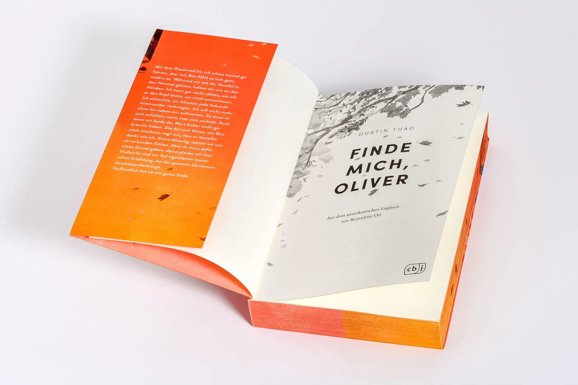 Bild: 9783570167526 | Finde mich, Oliver | Dustin Thao | Taschenbuch | 320 S. | Deutsch