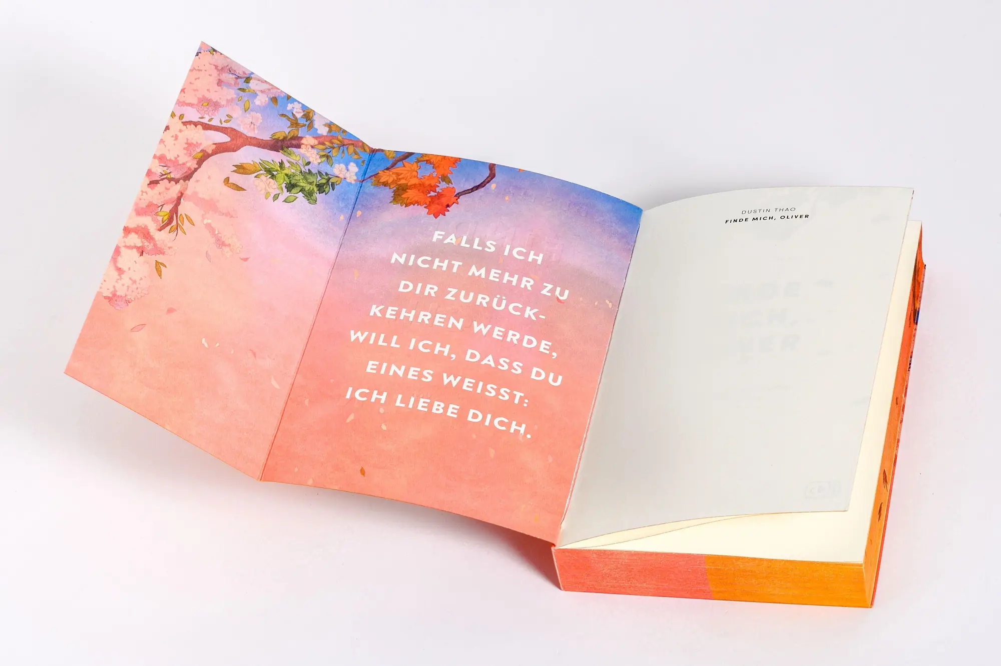 Bild: 9783570167526 | Finde mich, Oliver | Dustin Thao | Taschenbuch | 320 S. | Deutsch