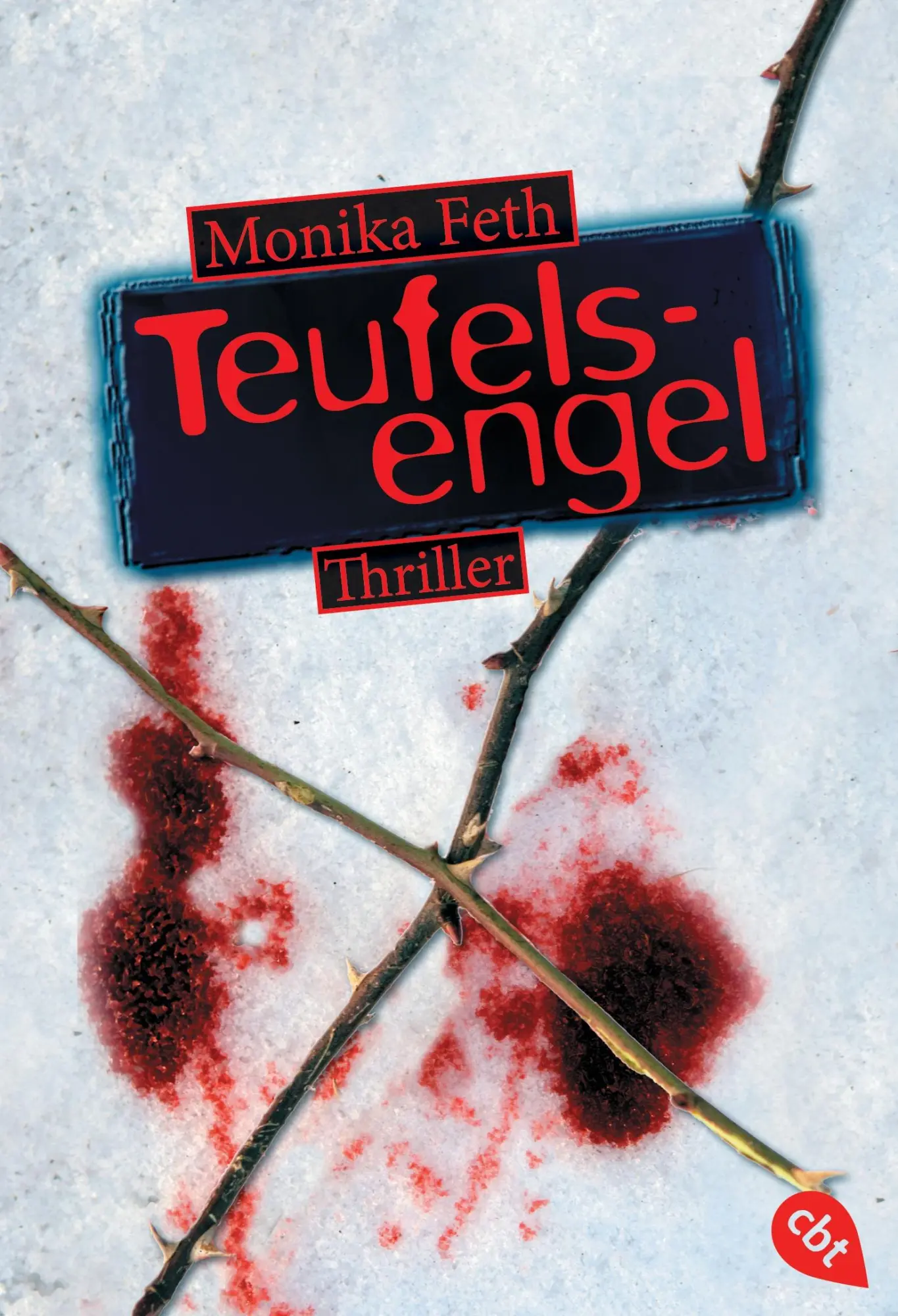 Cover: 9783570307526 | Teufelsengel | Monika Feth | Taschenbuch | cbt Taschenbücher | 411 S.