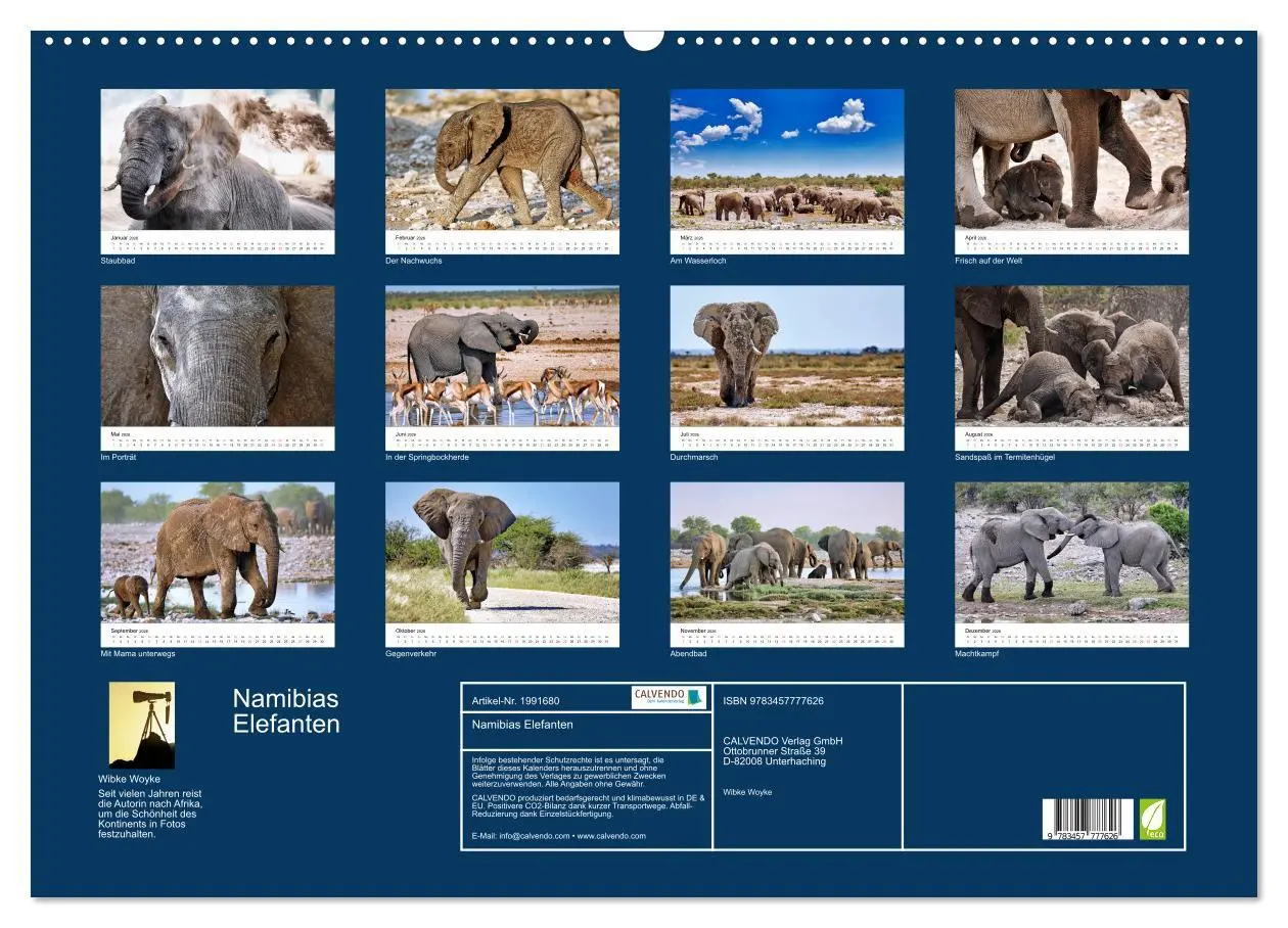Bild: 9783457777626 | Namibias Elefanten (Wandkalender 2026 DIN A2 quer), CALVENDO...