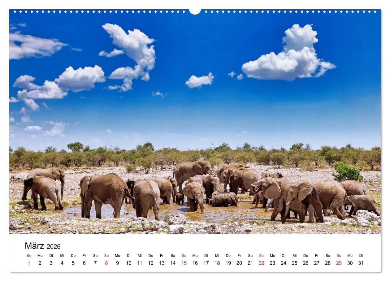 Bild: 9783457777626 | Namibias Elefanten (Wandkalender 2026 DIN A2 quer), CALVENDO...