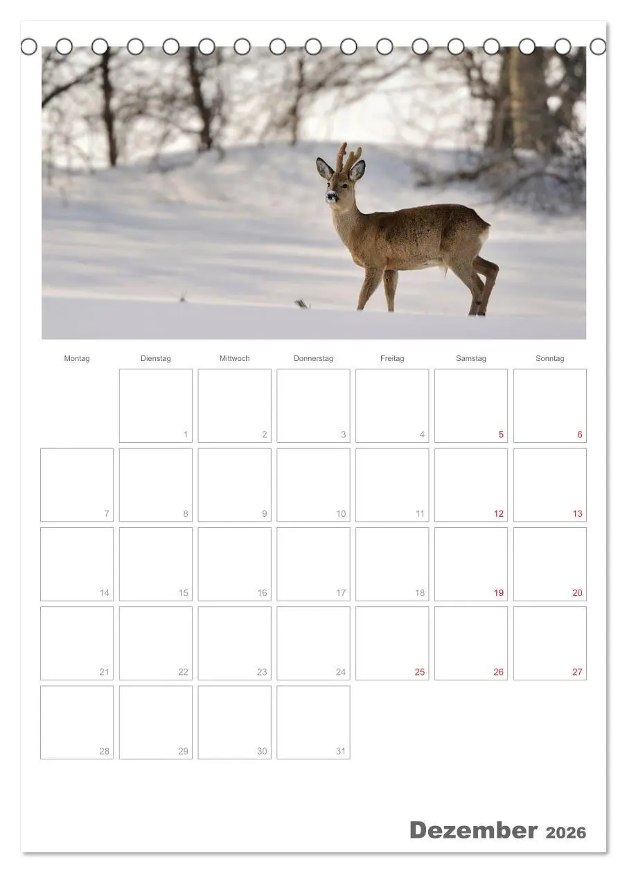 Bild: 9783516487626 | Rehe &amp; Co / Planer (Tischkalender 2026 DIN A5 hoch), CALVENDO...