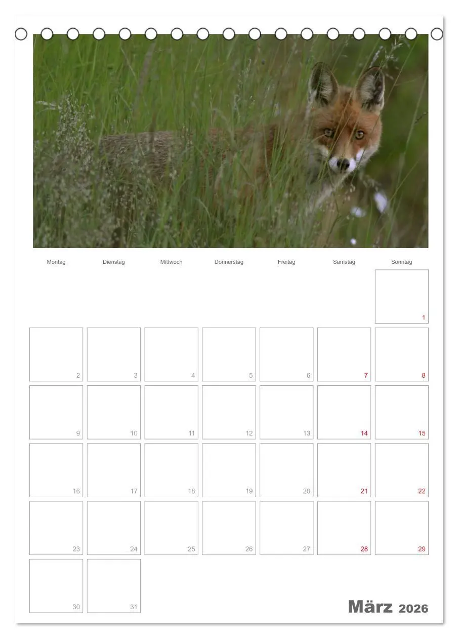 Bild: 9783516487626 | Rehe &amp; Co / Planer (Tischkalender 2026 DIN A5 hoch), CALVENDO...