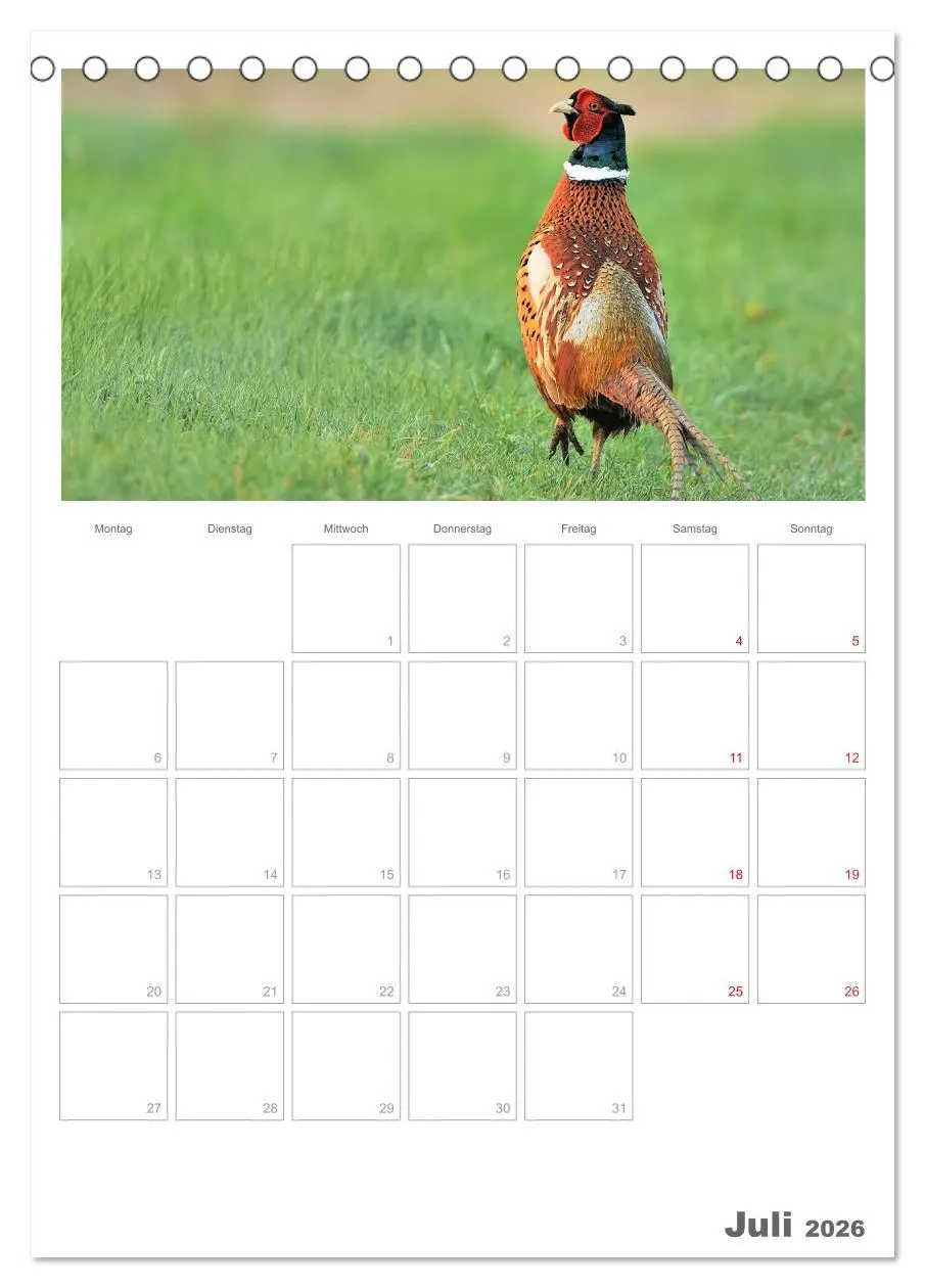 Bild: 9783516487626 | Rehe &amp; Co / Planer (Tischkalender 2026 DIN A5 hoch), CALVENDO...