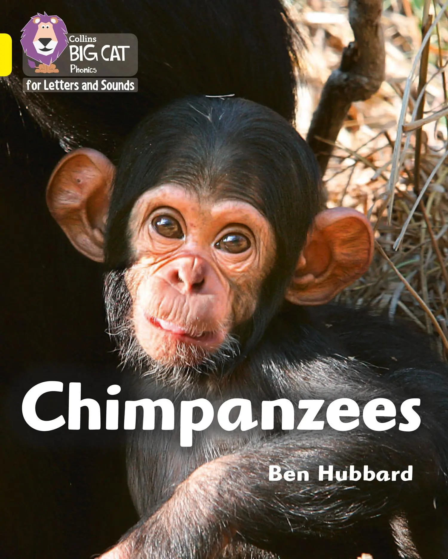 Cover: 9780008357726 | Chimpanzees | Band 03/Yellow | Ben Hubbard | Taschenbuch | Englisch