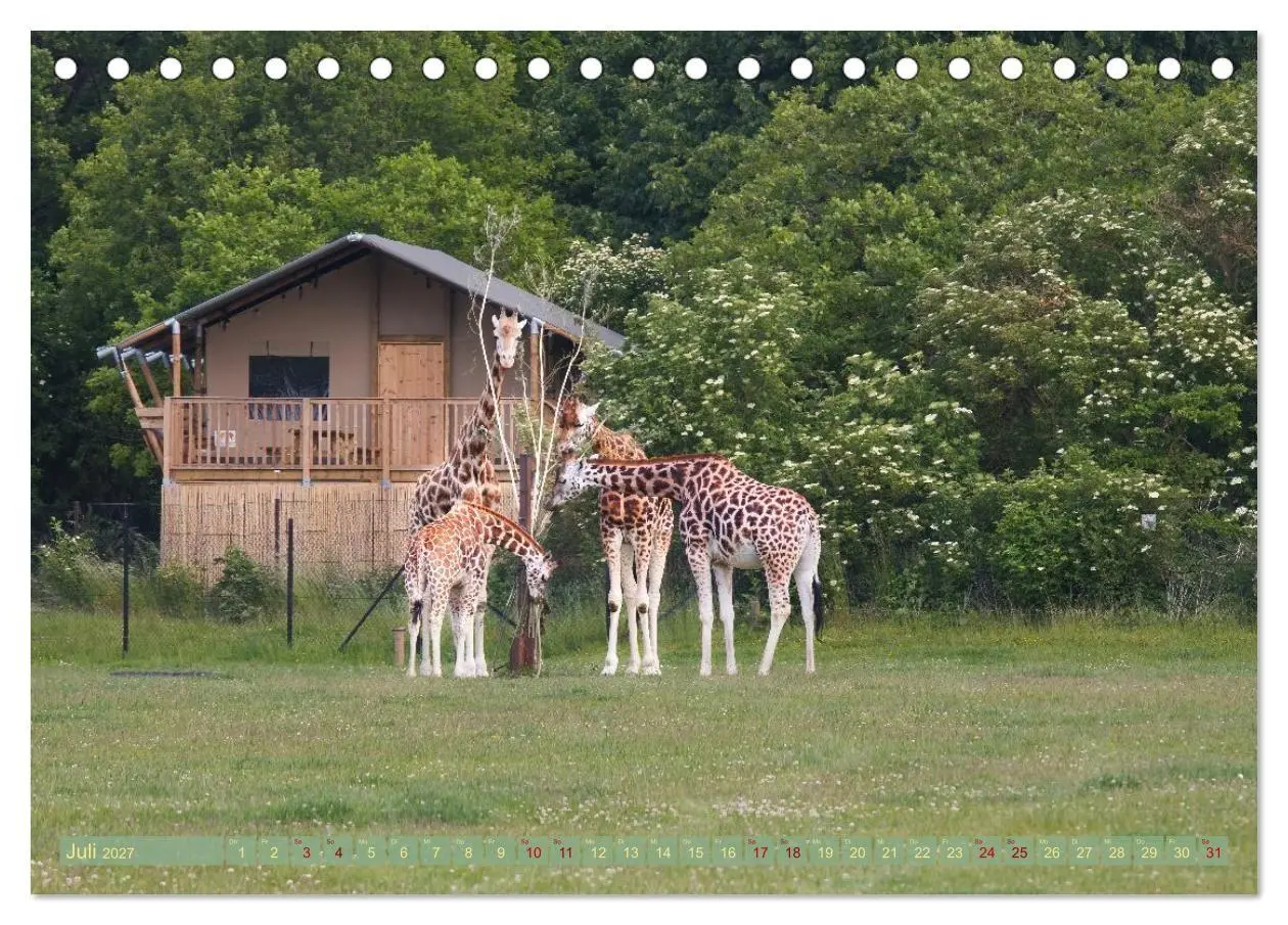 Bild: 9783516787726 | Dänemark Lolland Ein Urlaub voller Mythen und Schönheiten...