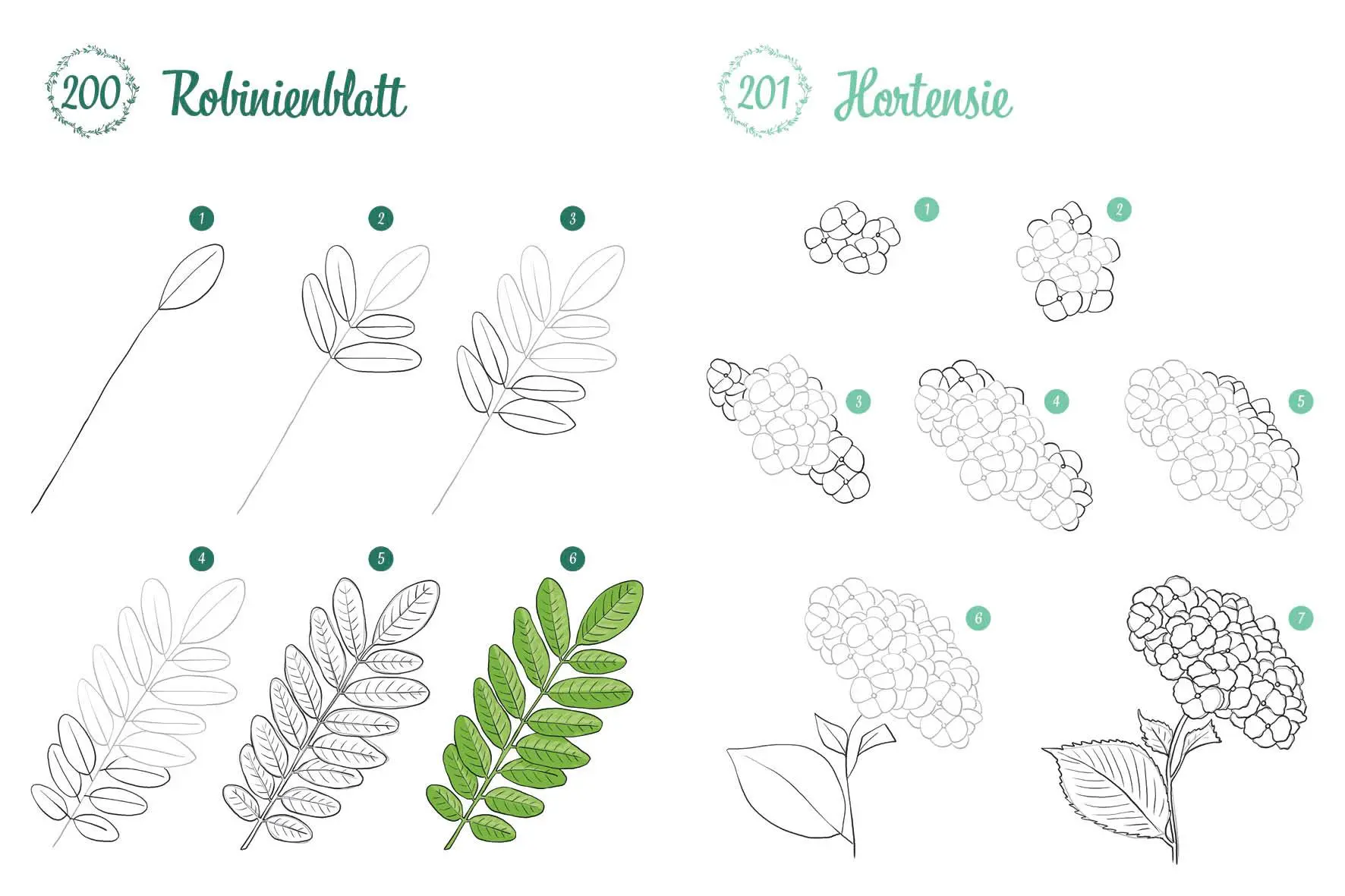 Bild: 9783745927726 | 300 Motive zeichnen - Botanik | Lise Herzog | Taschenbuch | 448 S.