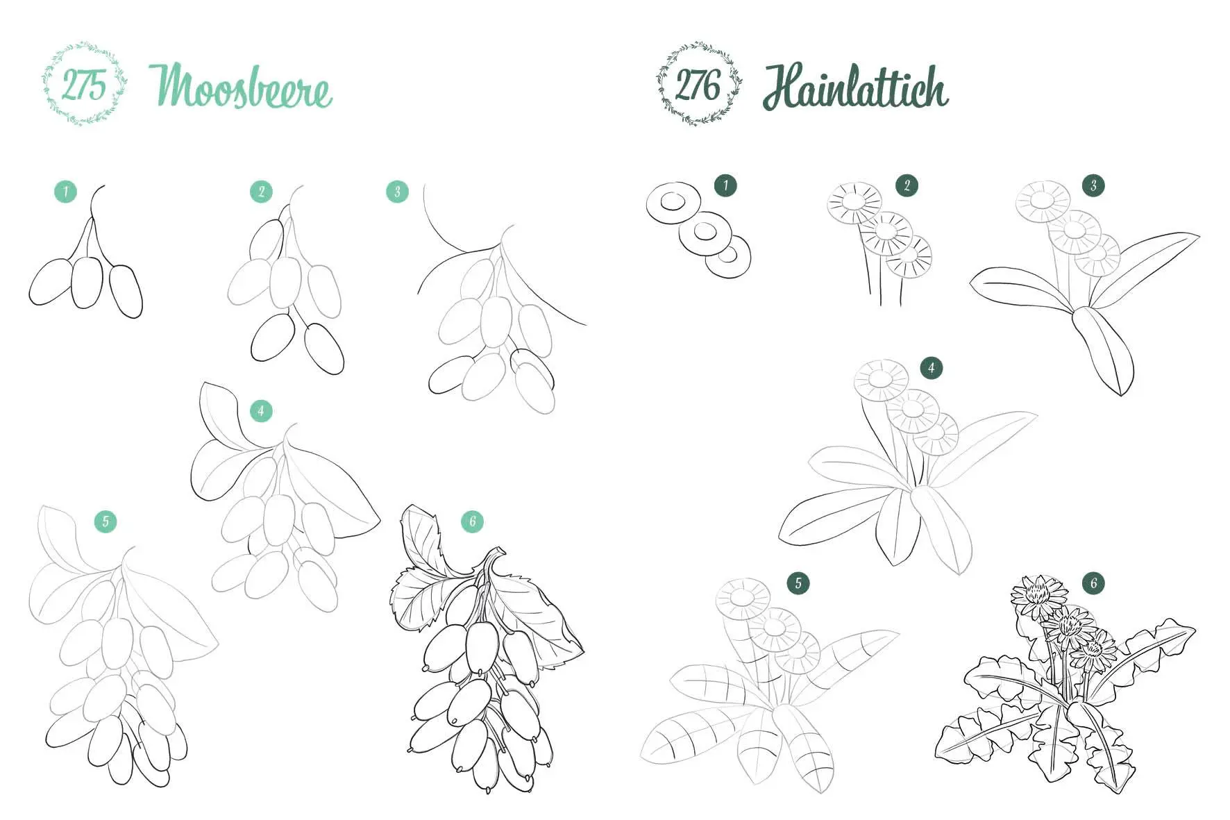 Bild: 9783745927726 | 300 Motive zeichnen - Botanik | Lise Herzog | Taschenbuch | 448 S.