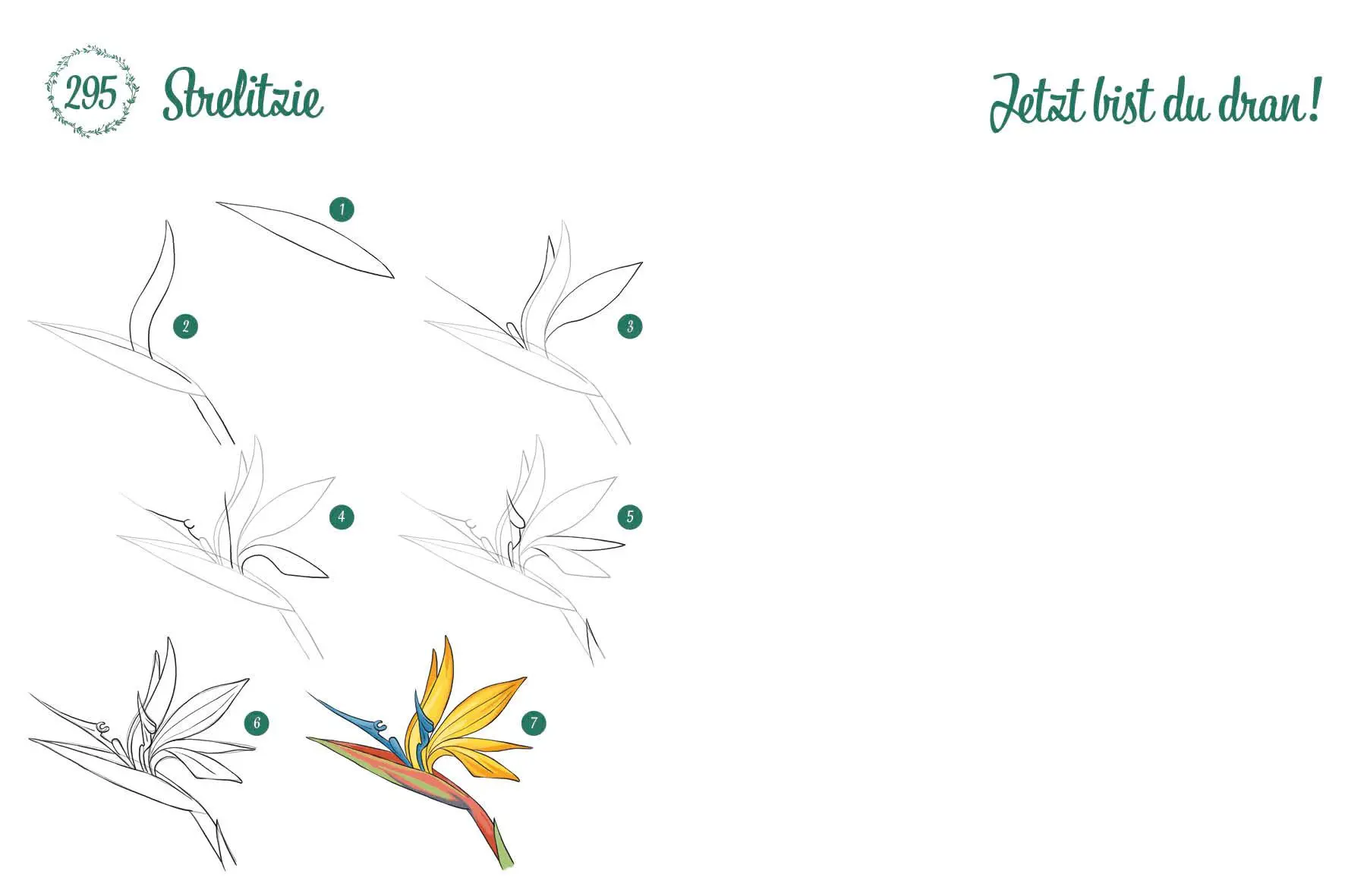 Bild: 9783745927726 | 300 Motive zeichnen - Botanik | Lise Herzog | Taschenbuch | 448 S.