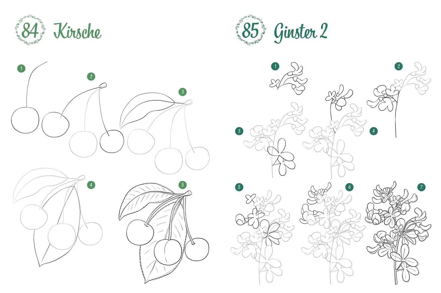 Bild: 9783745927726 | 300 Motive zeichnen - Botanik | Lise Herzog | Taschenbuch | 448 S.