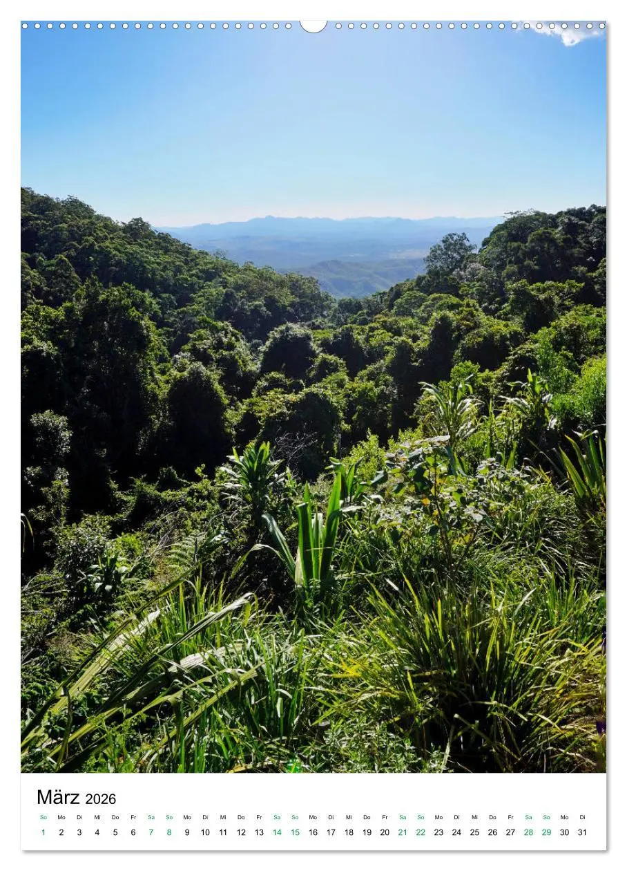 Bild: 9783516397826 | Regenwald - Australien (hochwertiger Premium Wandkalender 2026 DIN...