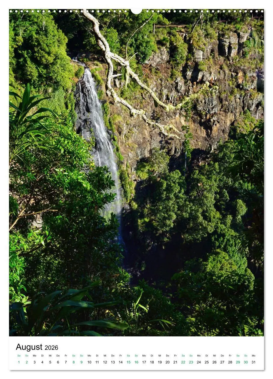 Bild: 9783516397826 | Regenwald - Australien (hochwertiger Premium Wandkalender 2026 DIN...