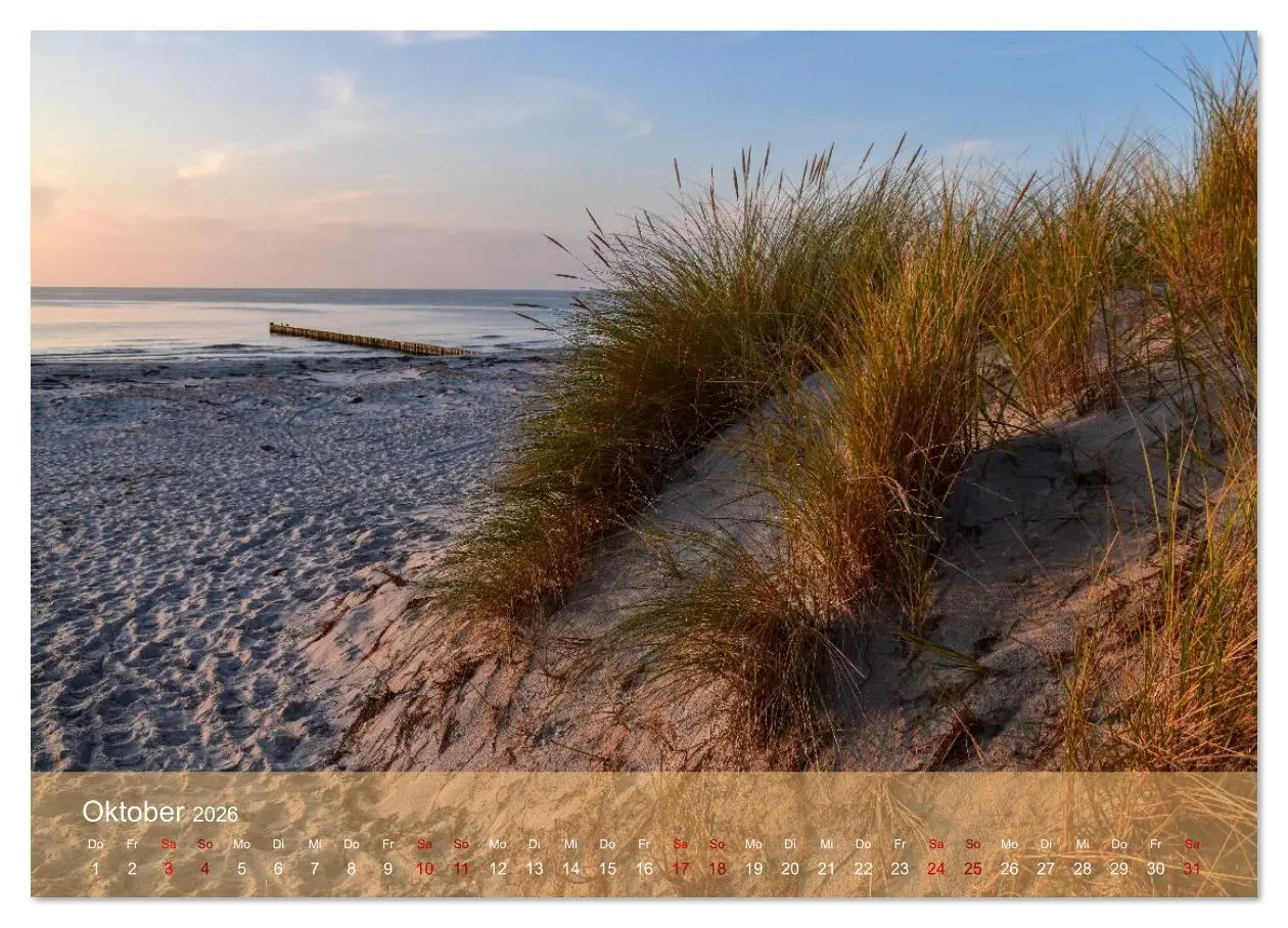 Bild: 9783516607826 | Faszination Hiddensee (Wandkalender 2026 DIN A3 quer), CALVENDO...