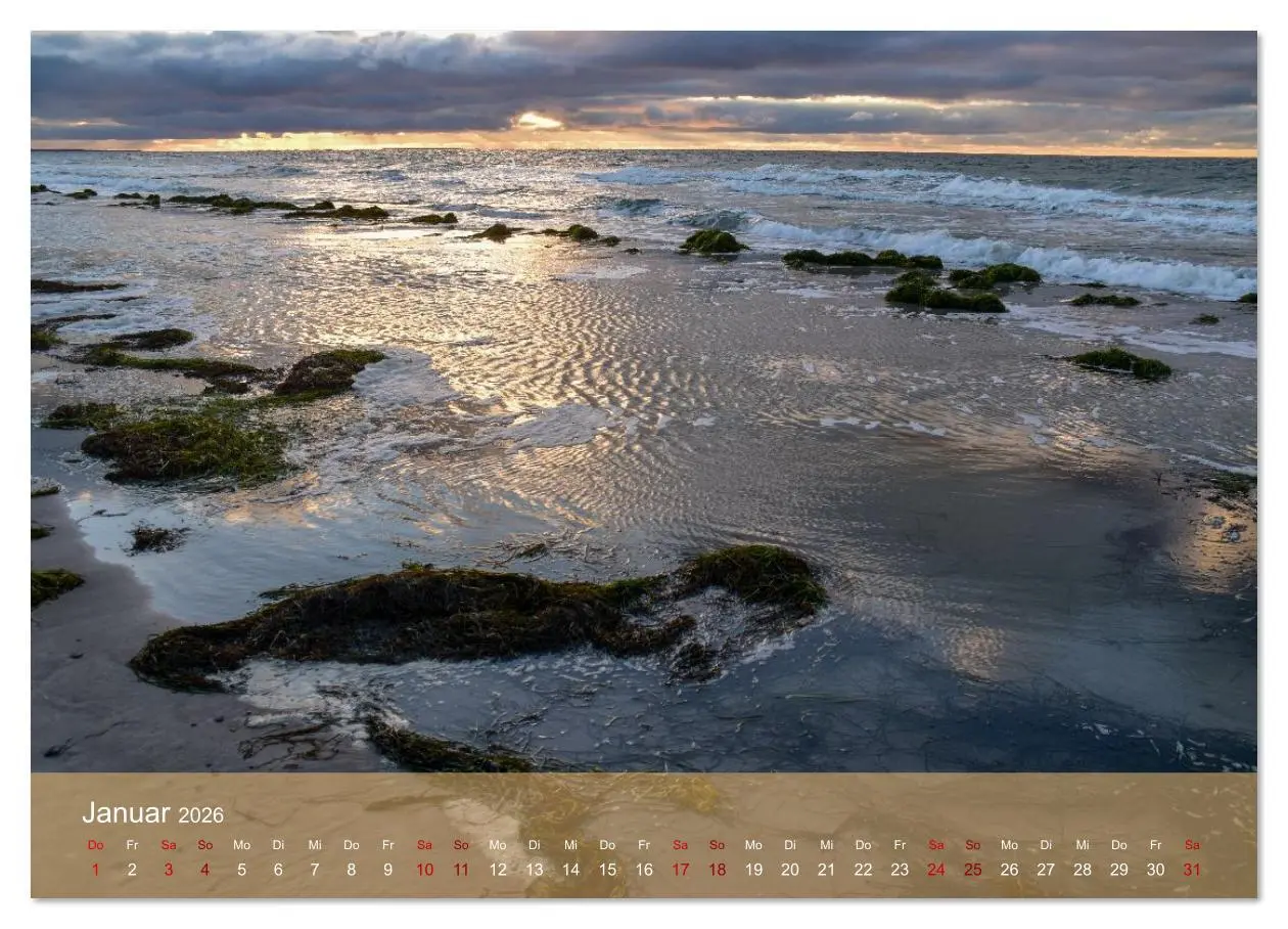 Bild: 9783516607826 | Faszination Hiddensee (Wandkalender 2026 DIN A3 quer), CALVENDO...
