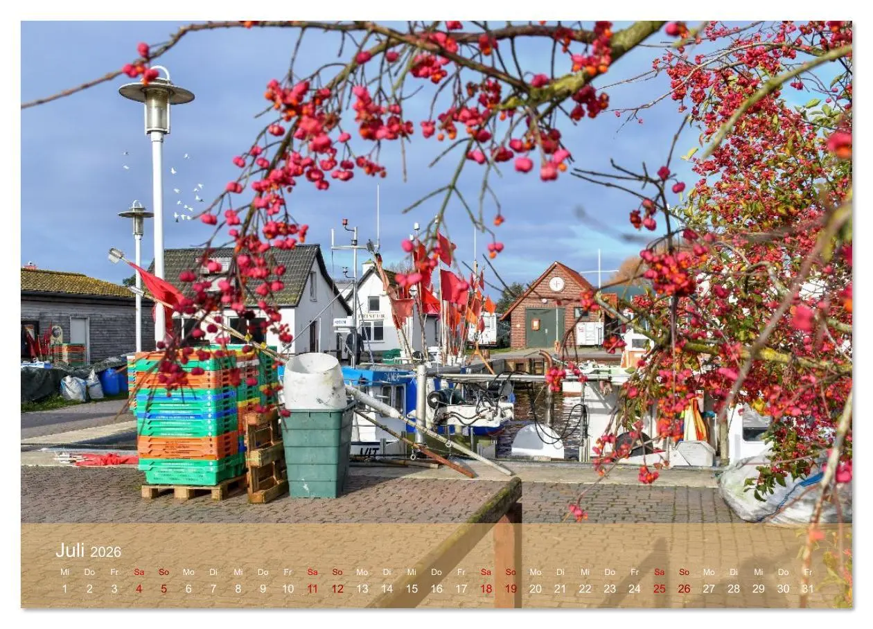 Bild: 9783516607826 | Faszination Hiddensee (Wandkalender 2026 DIN A3 quer), CALVENDO...