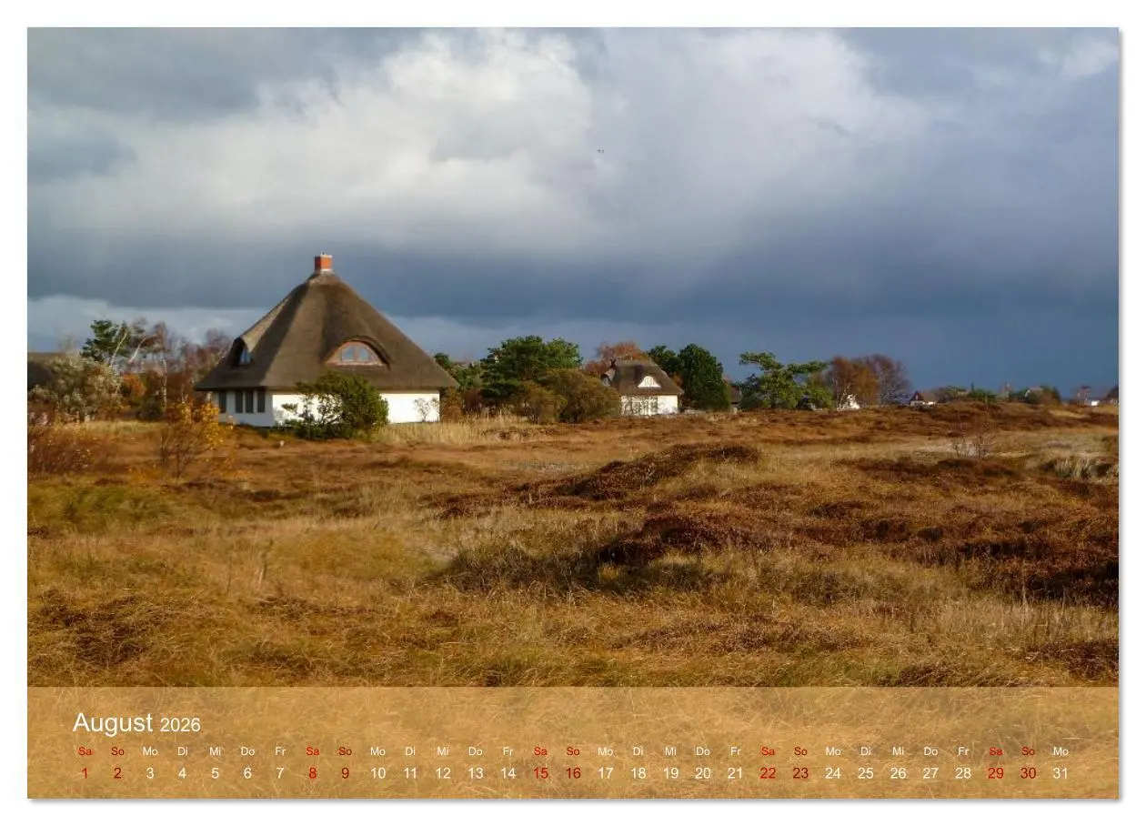 Bild: 9783516607826 | Faszination Hiddensee (Wandkalender 2026 DIN A3 quer), CALVENDO...