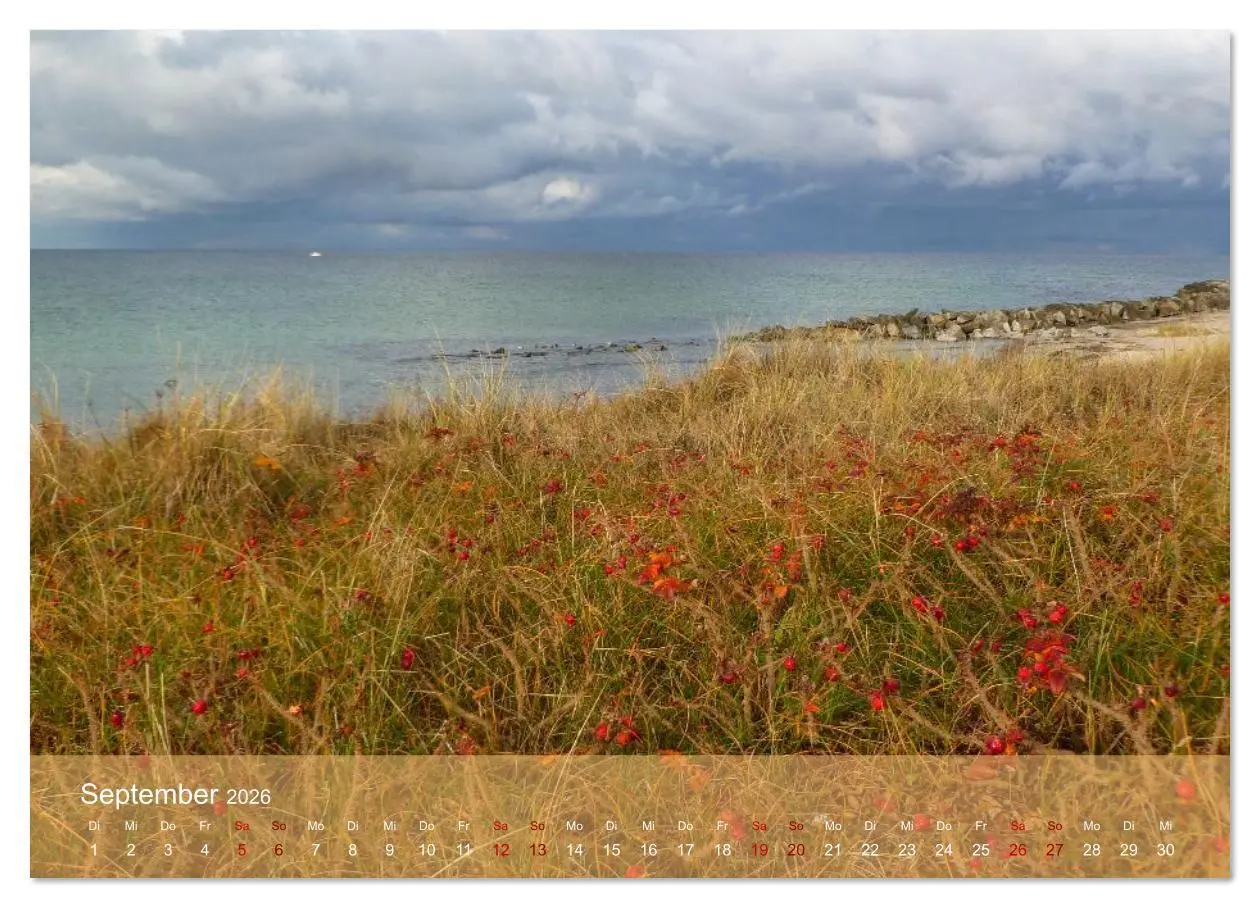 Bild: 9783516607826 | Faszination Hiddensee (Wandkalender 2026 DIN A3 quer), CALVENDO...