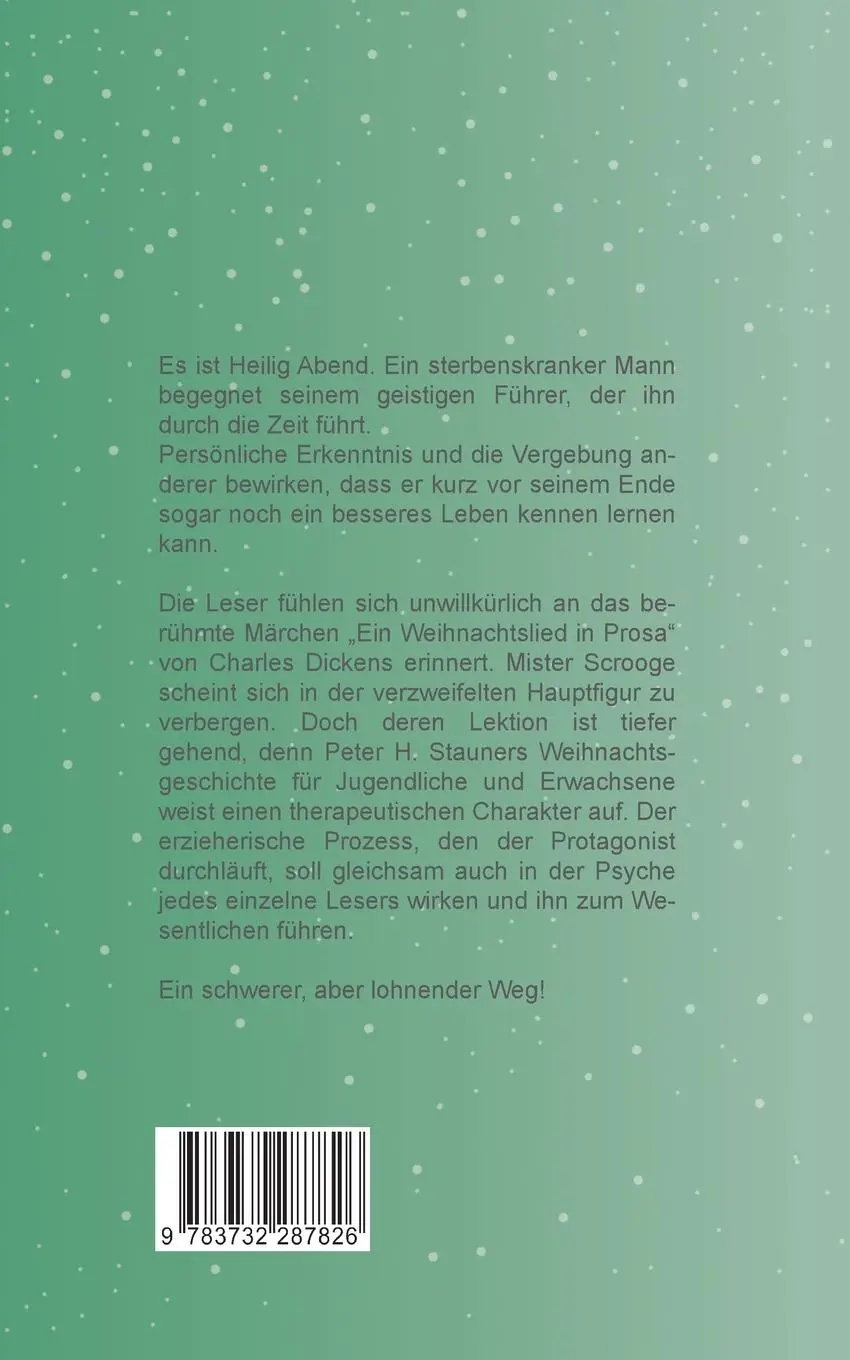 Rückseite: 9783732287826 | Zeit der Umkehr | Eine Weihnachtsgeschichte | Peter Stauner | Buch