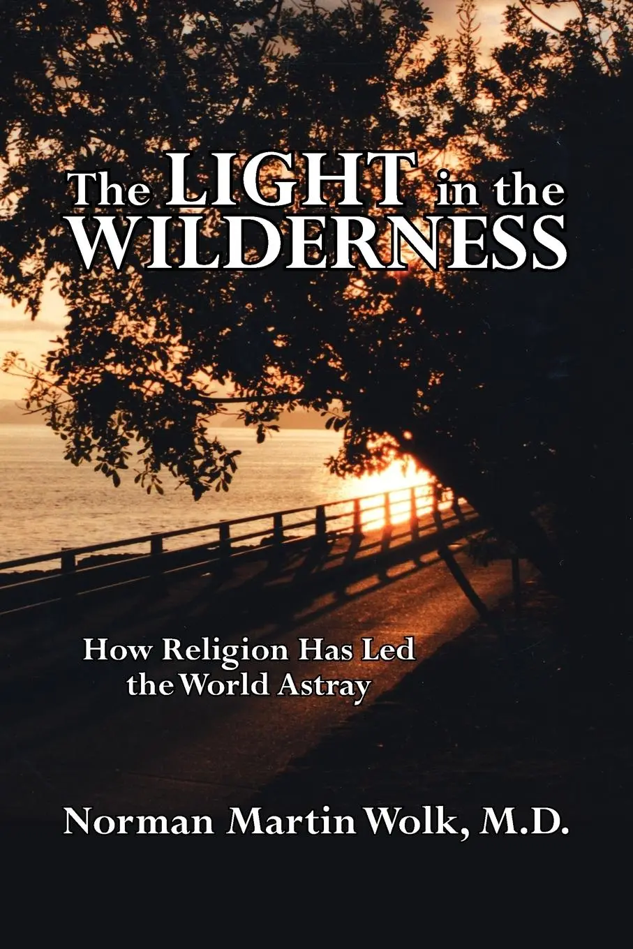 Cover: 9781425957926 | The Light in the Wilderness | How Religion Has Led the World Astray