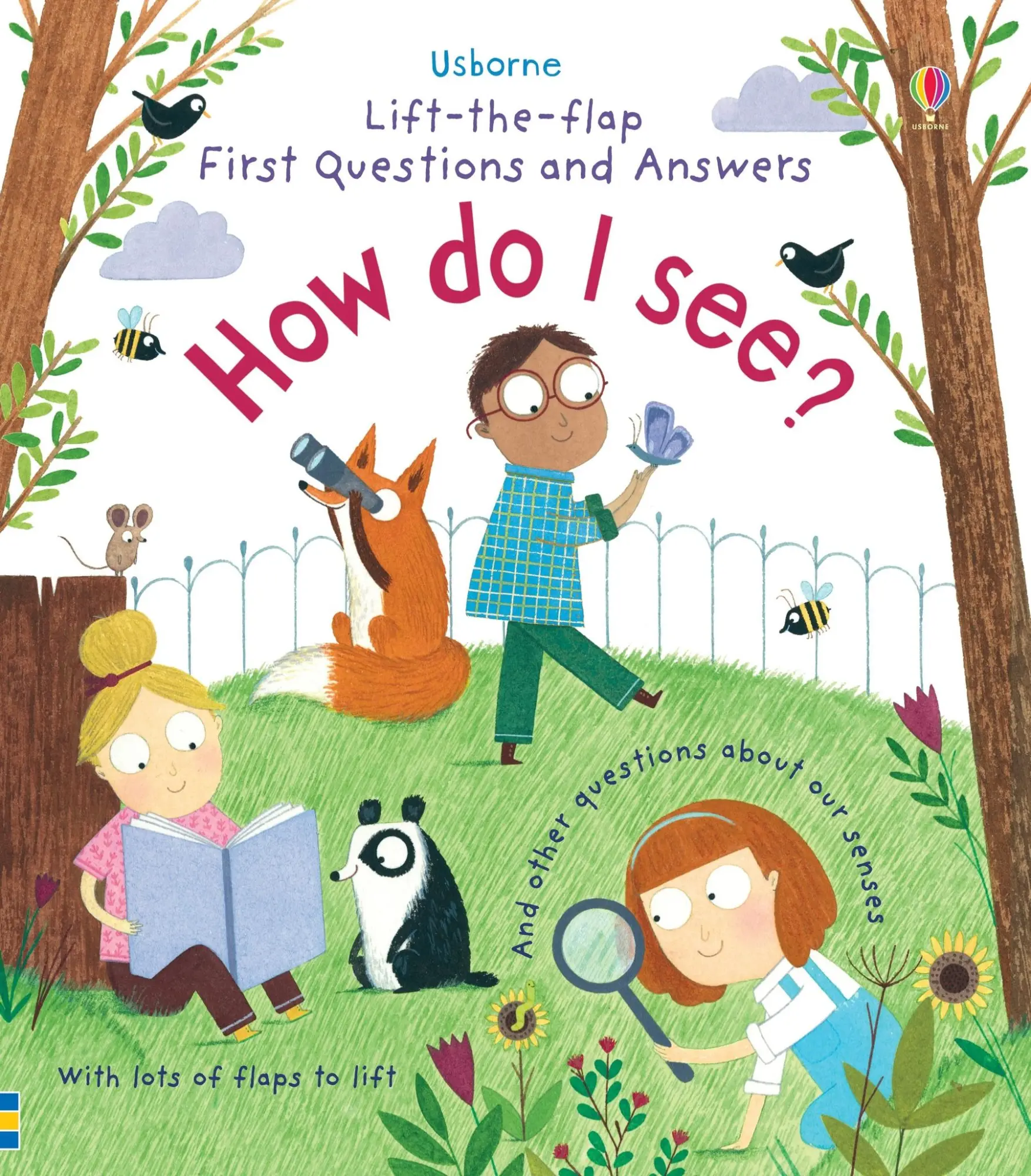 Cover: 9781474917926 | First Questions and Answers: How do I see? | Katie Daynes | Buch