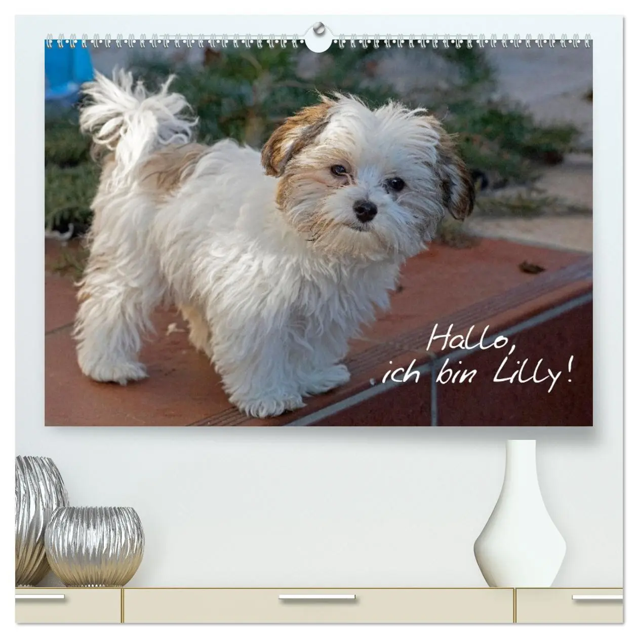 Cover: 9783457437926 | Hallo, ich bin Lilly (hochwertiger Premium Wandkalender 2026 DIN A2...