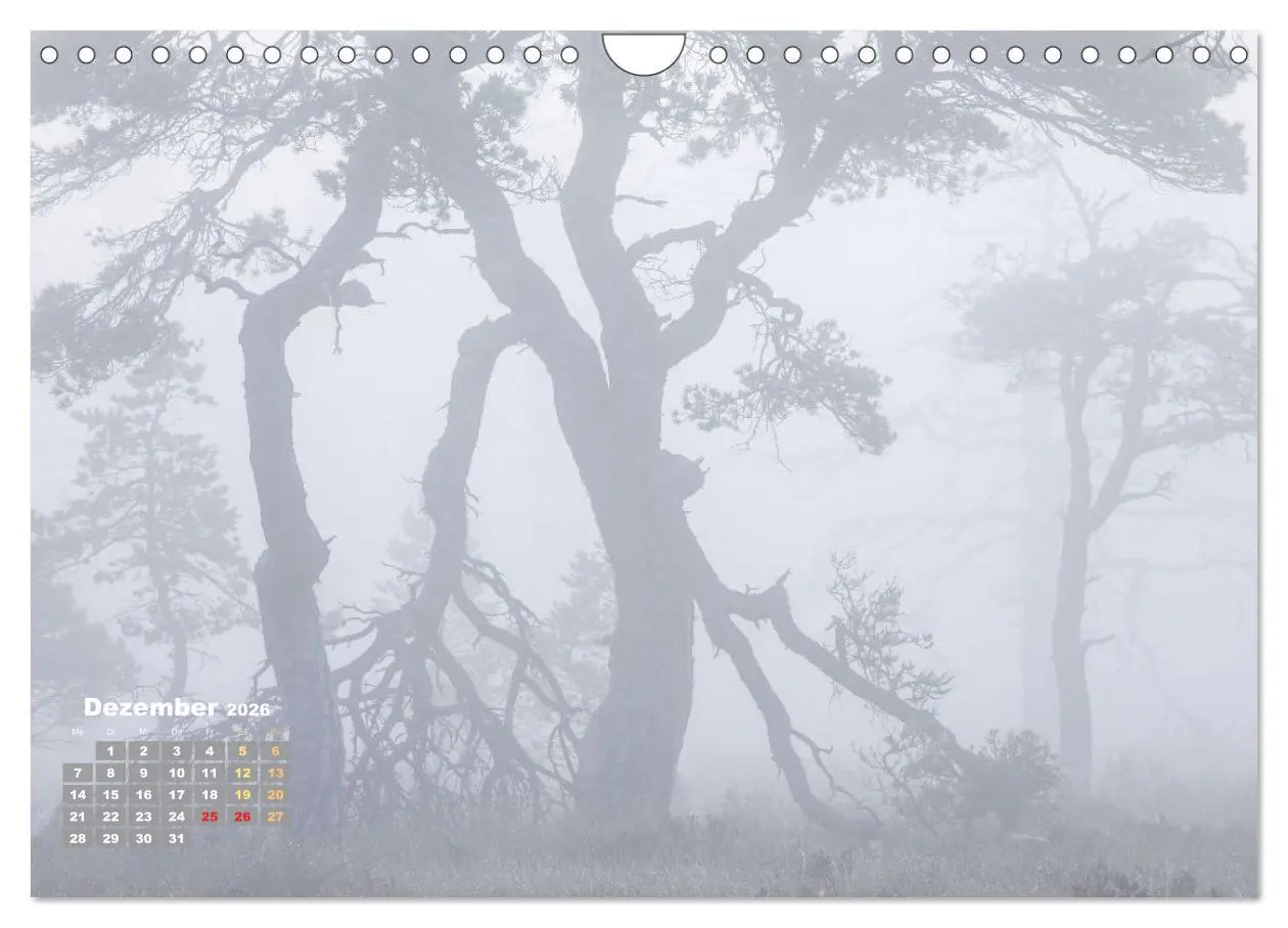 Bild: 9783457328026 | Naturschauspiele in Schottland (Wandkalender 2026 DIN A4 quer),...