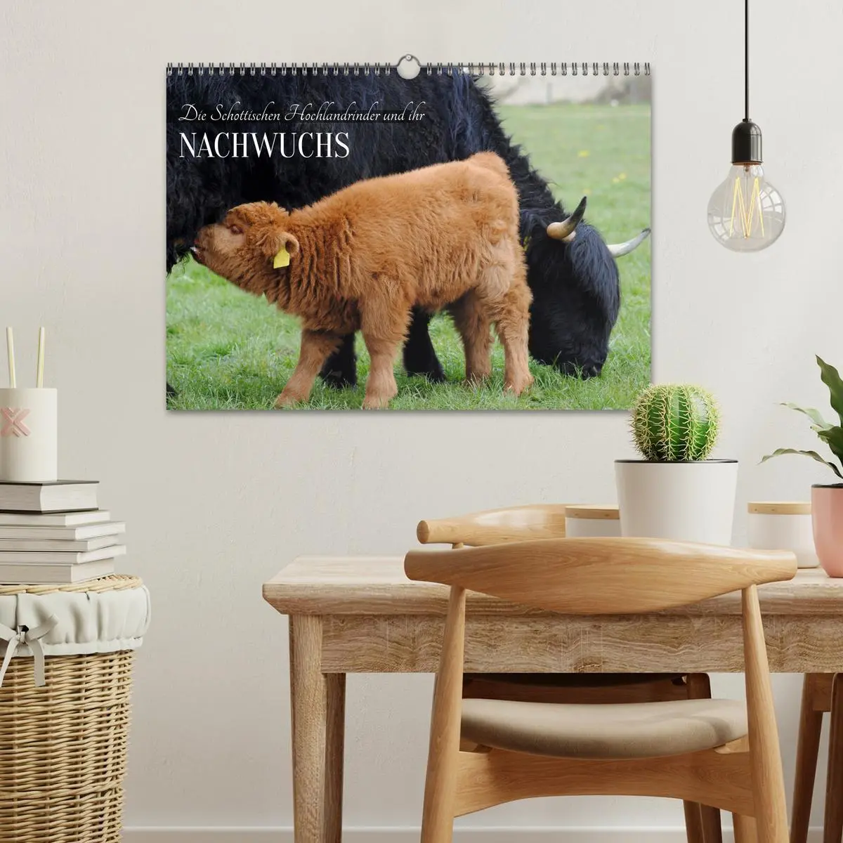 Bild: 9783457498026 | Die Schottischen Hochlandrinder und ihr Nachwuchs (Wandkalender...