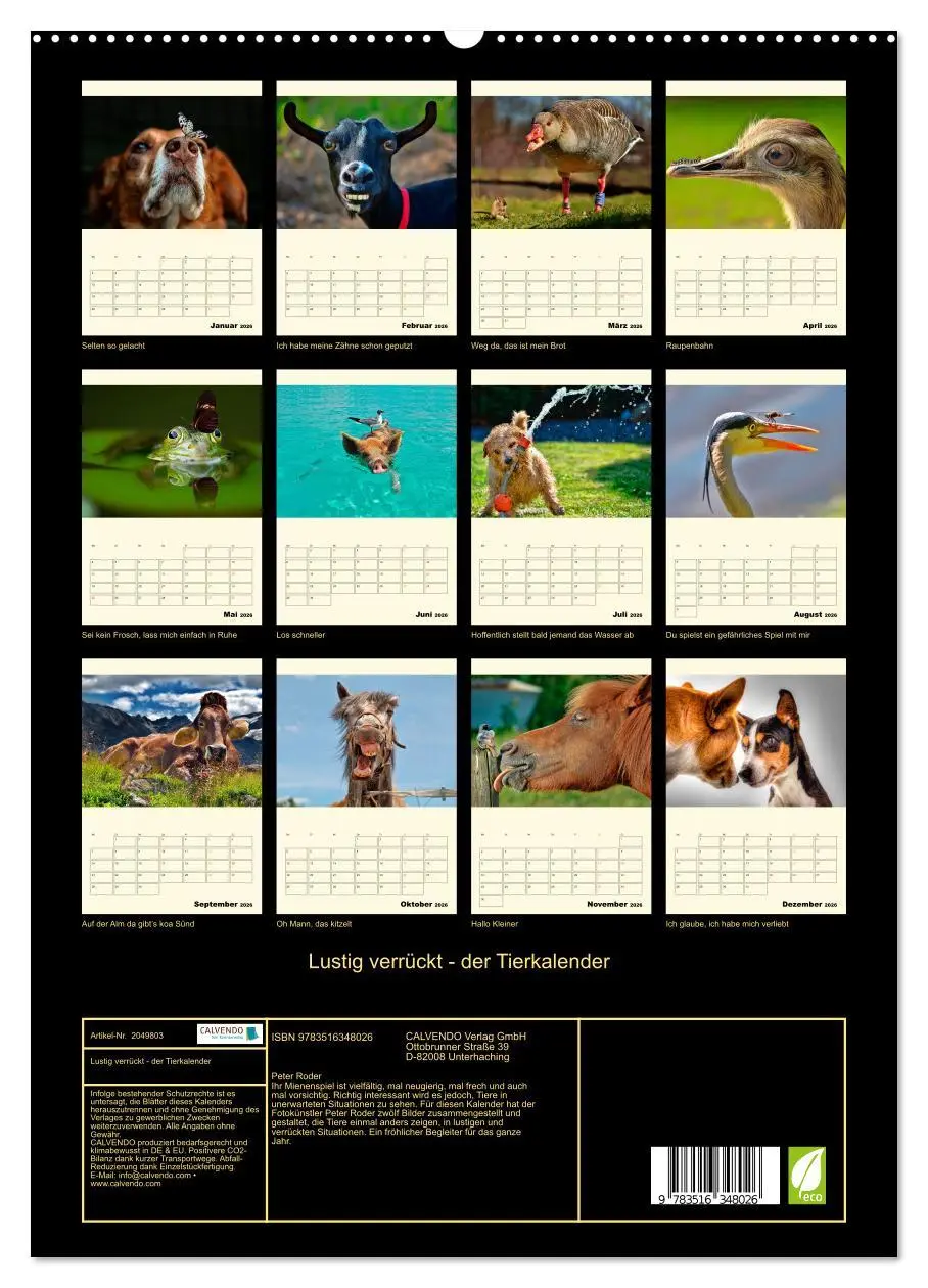Bild: 9783516348026 | Lustig verrückt - der Tierkalender (hochwertiger Premium...