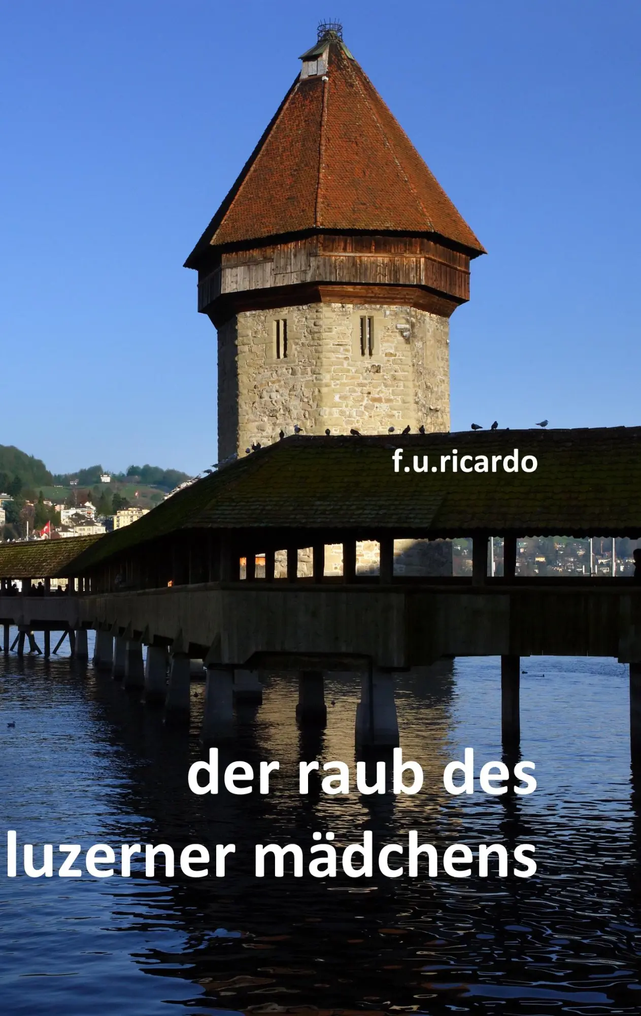 Cover: 9783837038026 | Der Raub des Luzerner Mädchens | F. U. Ricardo | Taschenbuch | 164 S.