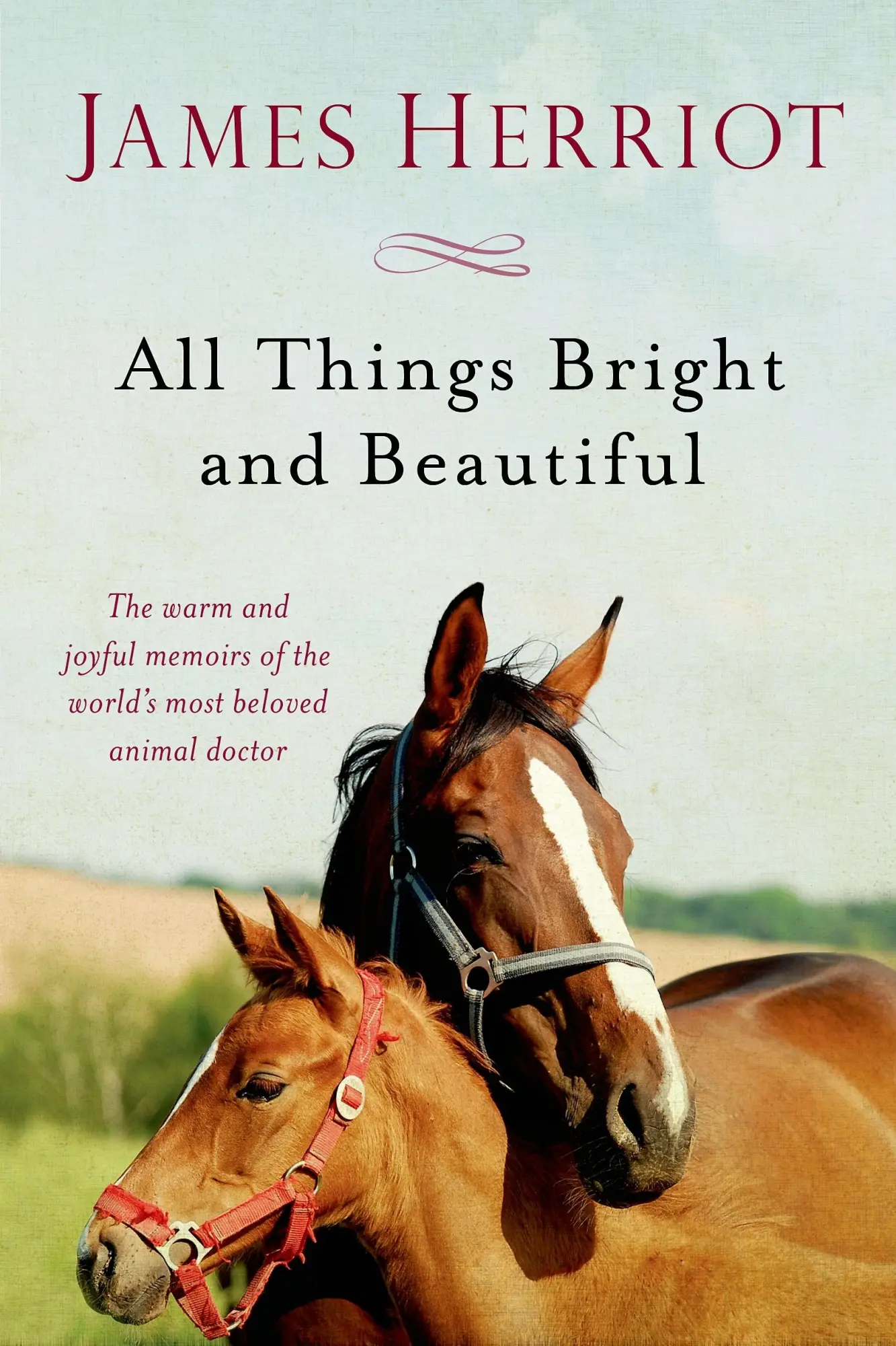 Cover: 9781250058126 | All Things Bright and Beautiful | James Herriot | Taschenbuch | 2014