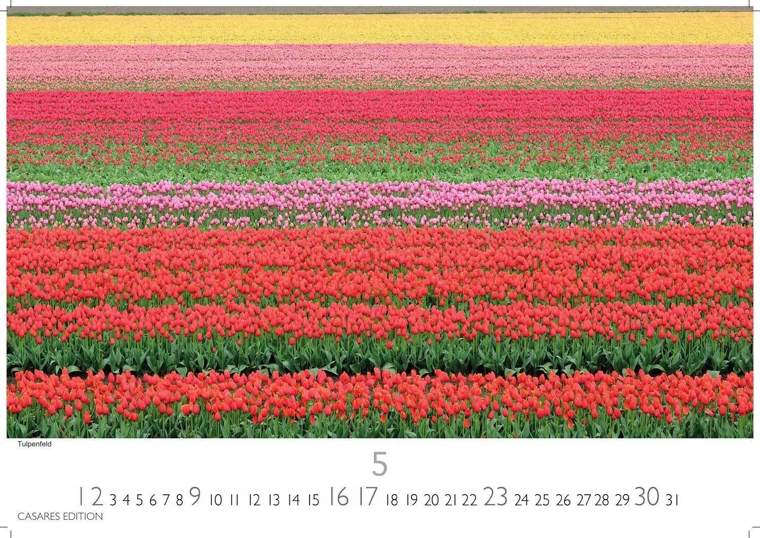 Bild: 9781835248126 | Niederlande Kalender 2027 - Wandkalender Fotokalender Mitteleuropa...